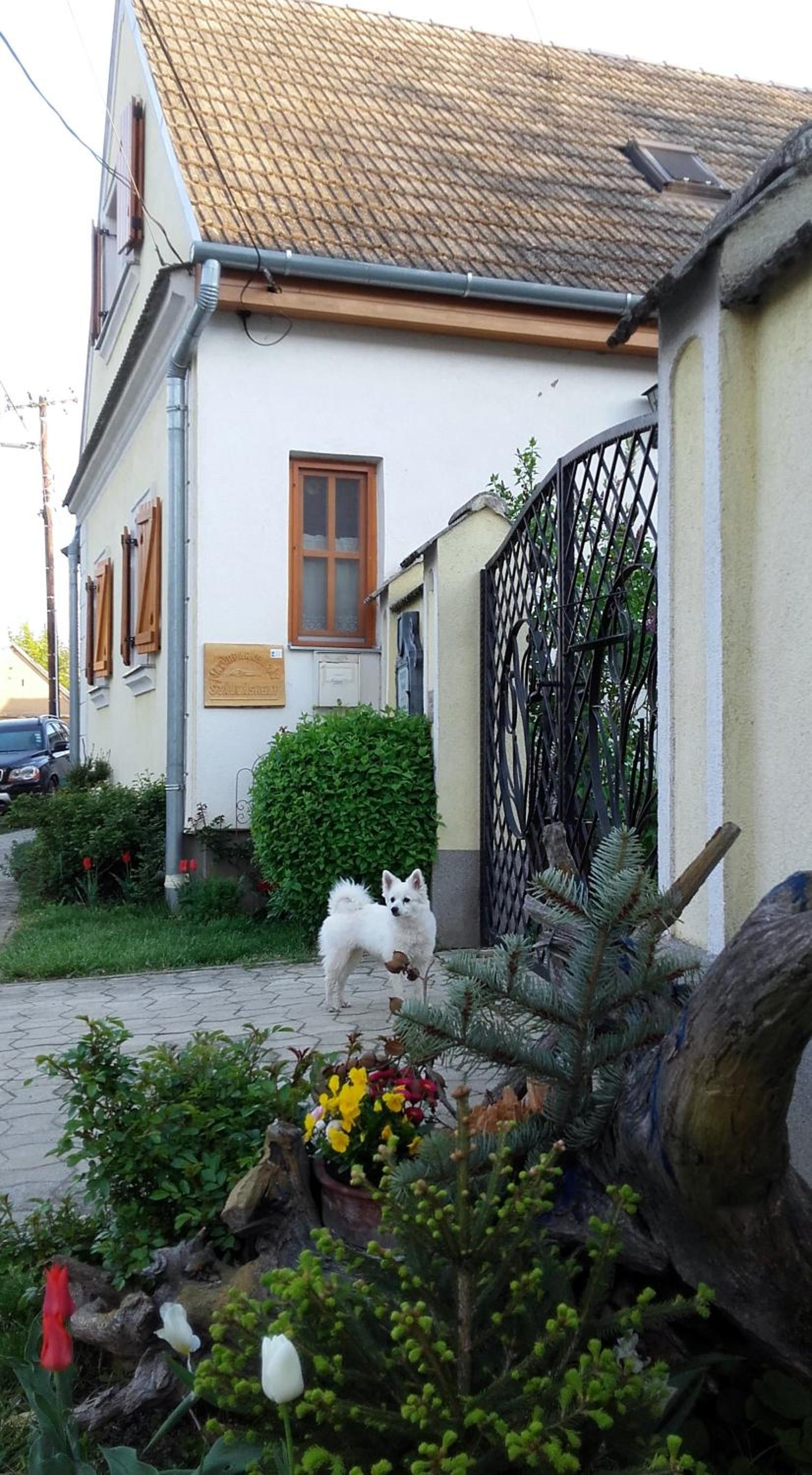 Photo 27