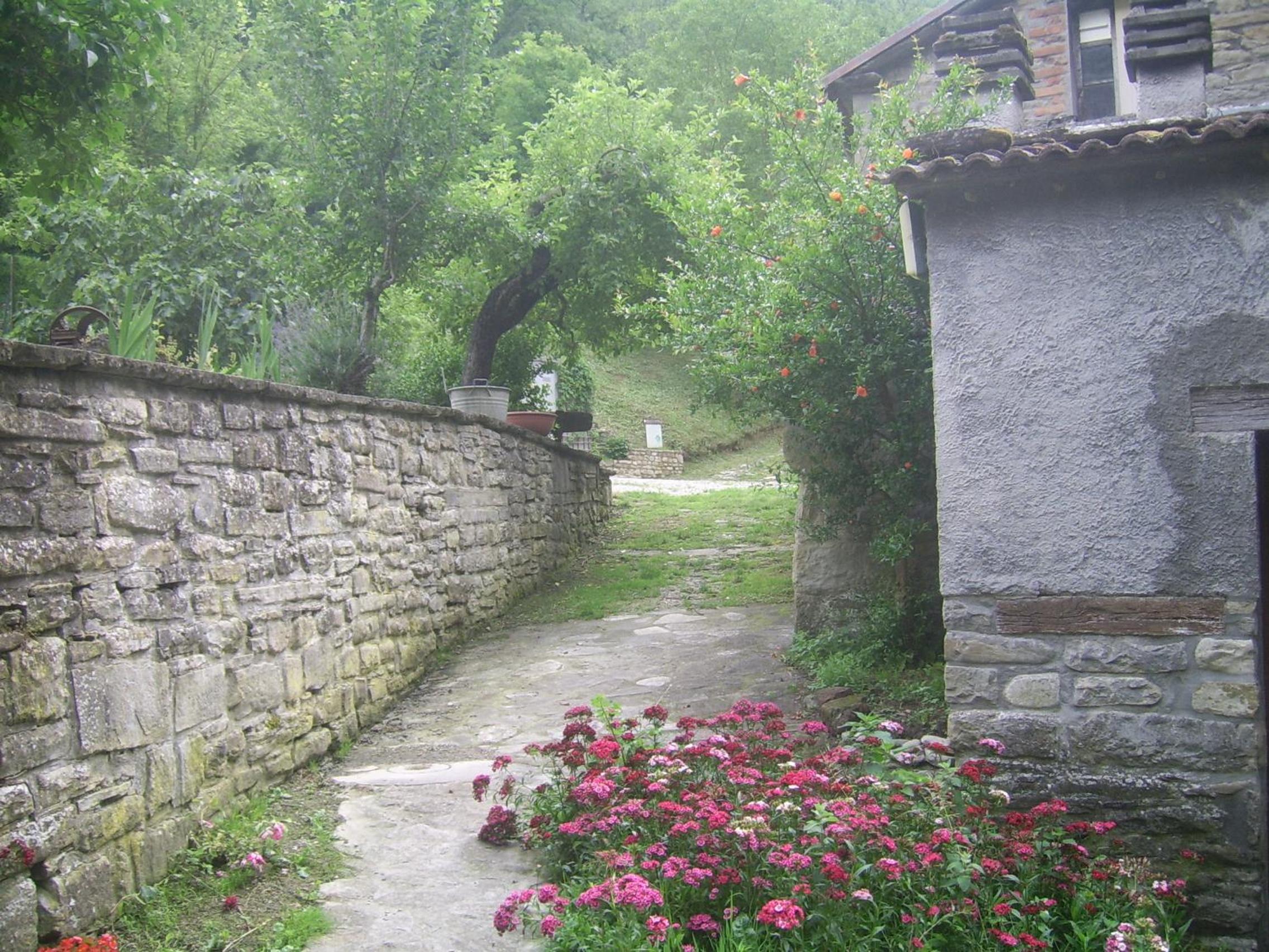 Agriturismo Mulino di Culmolle