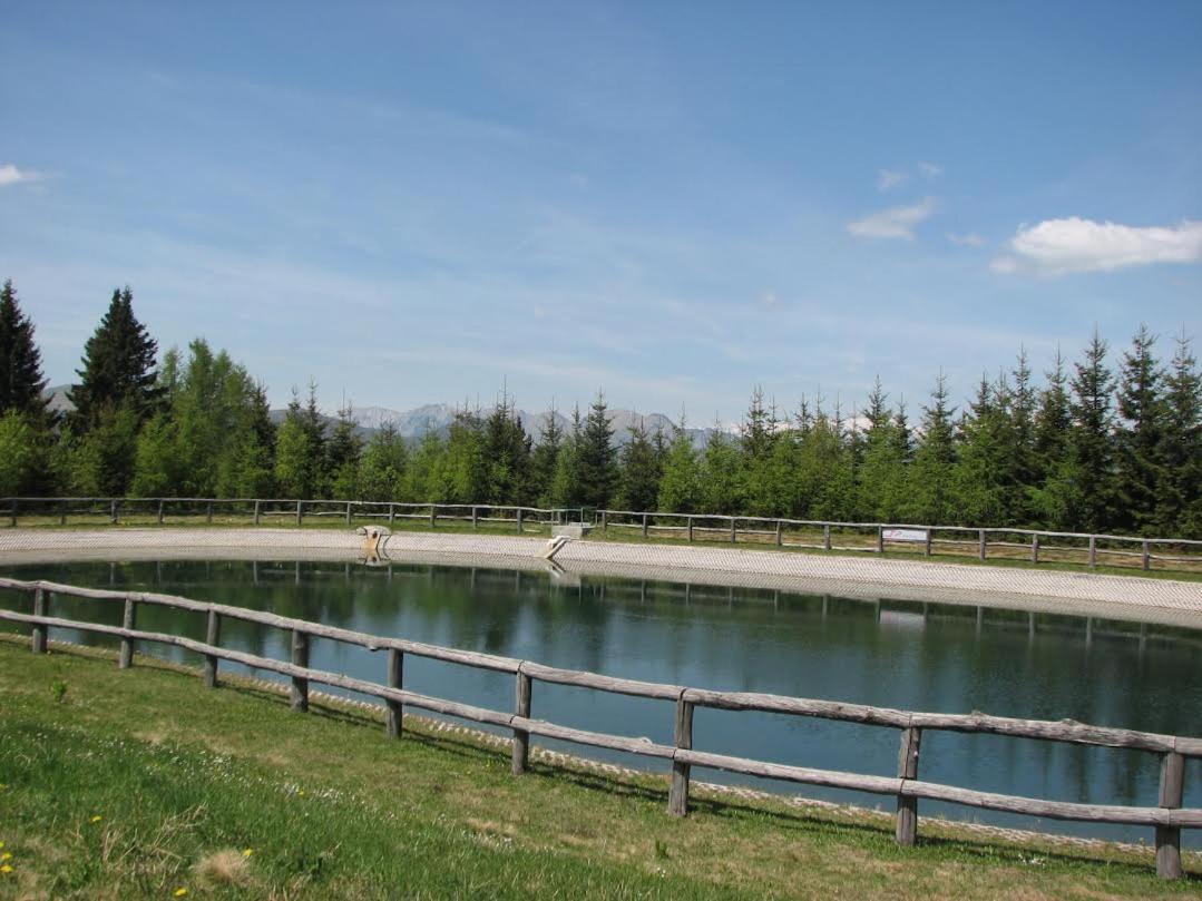 Apartmaji Srnca