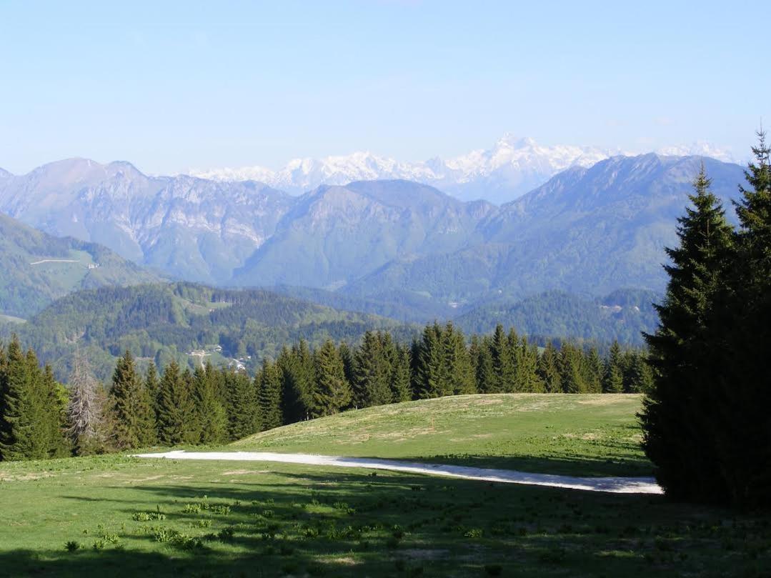 Apartmaji Srnca