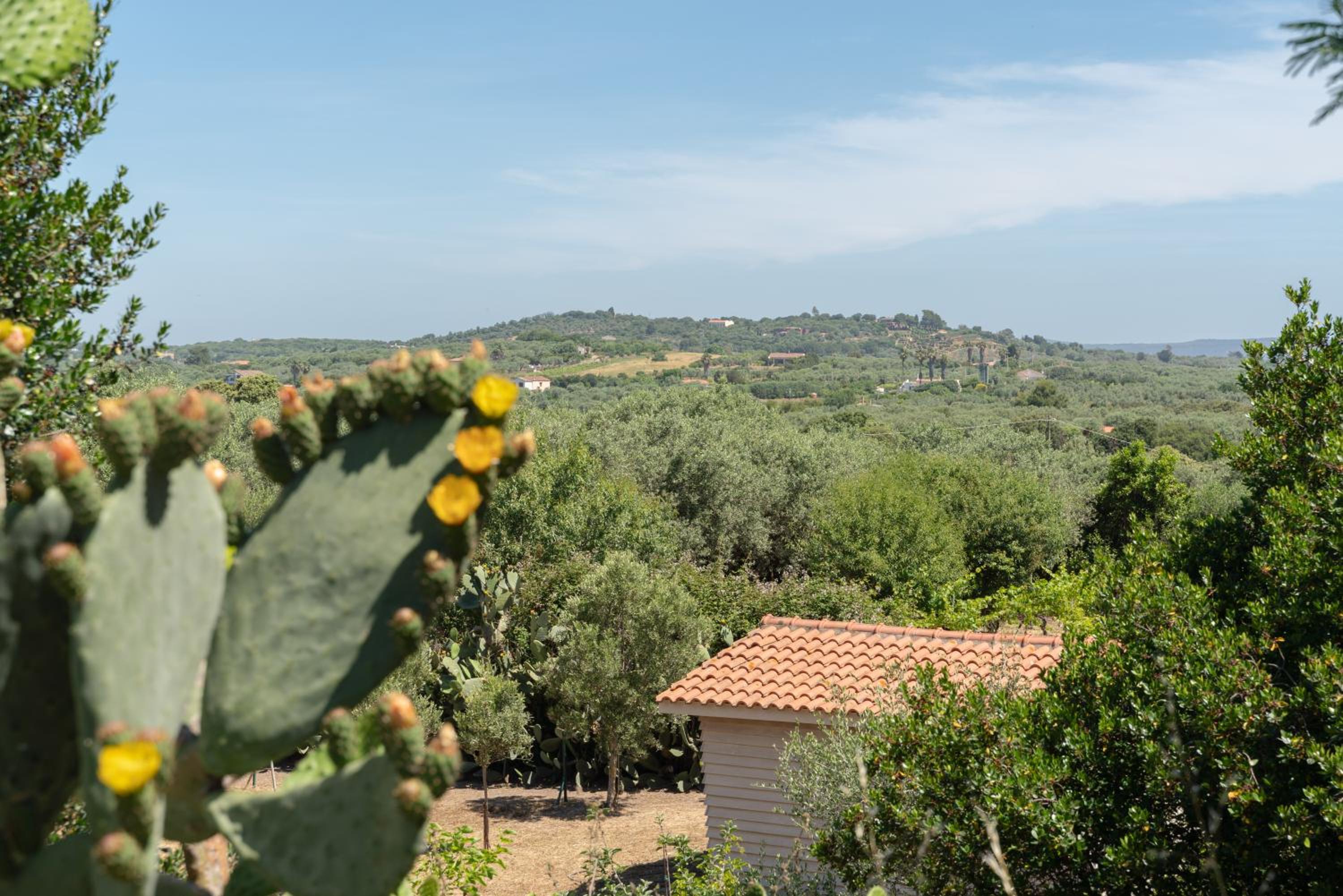 Villa Olia