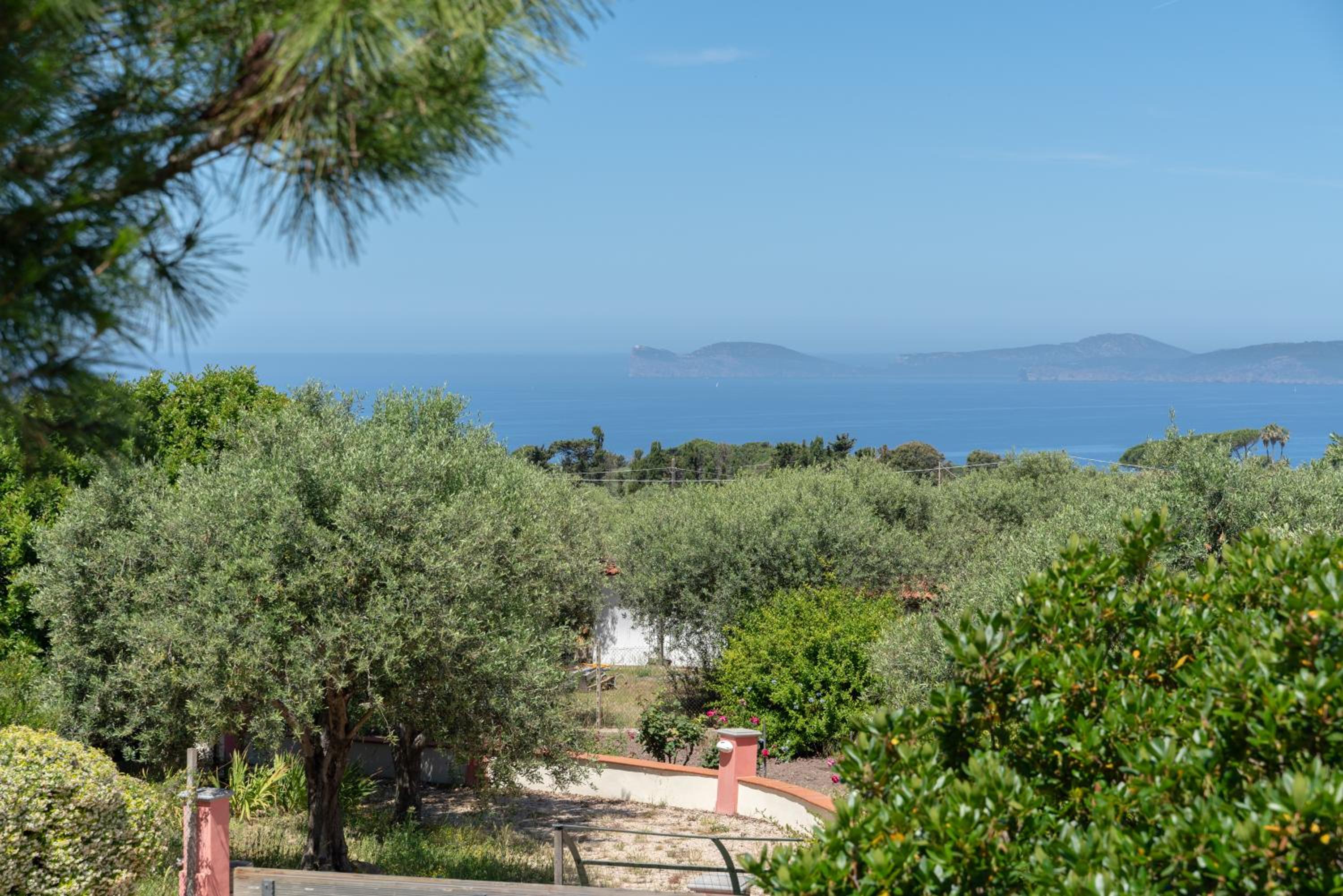 Villa Olia