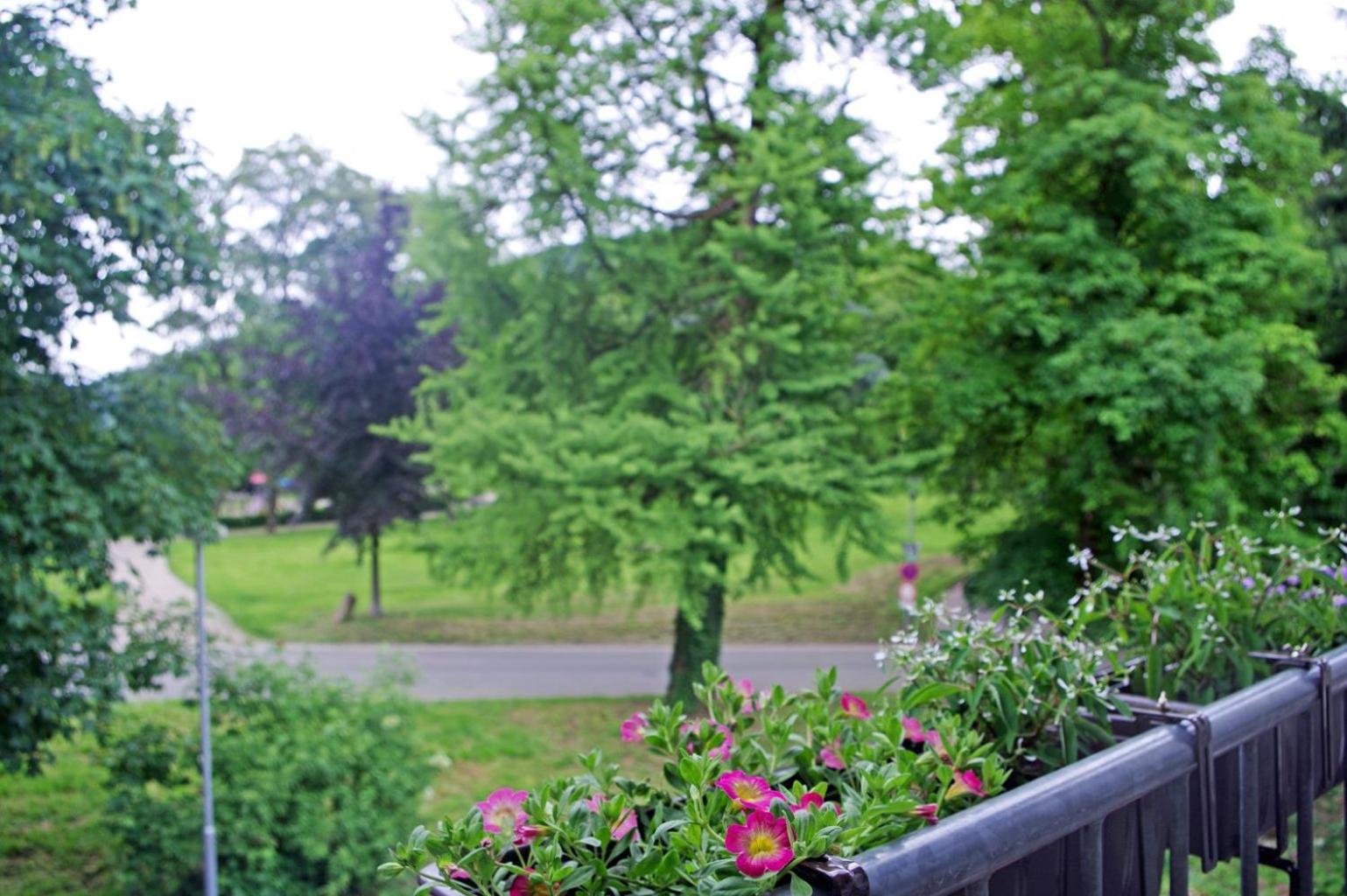 Ferien-Wohnung am Menzer-Park, photo 15