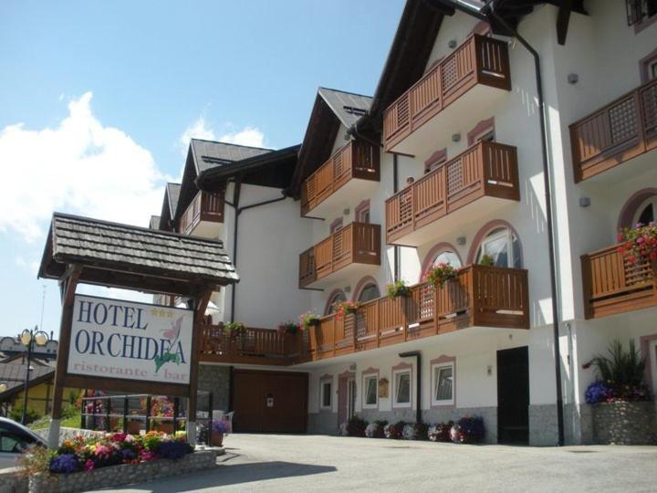 Hotel Orchidea - Image 1