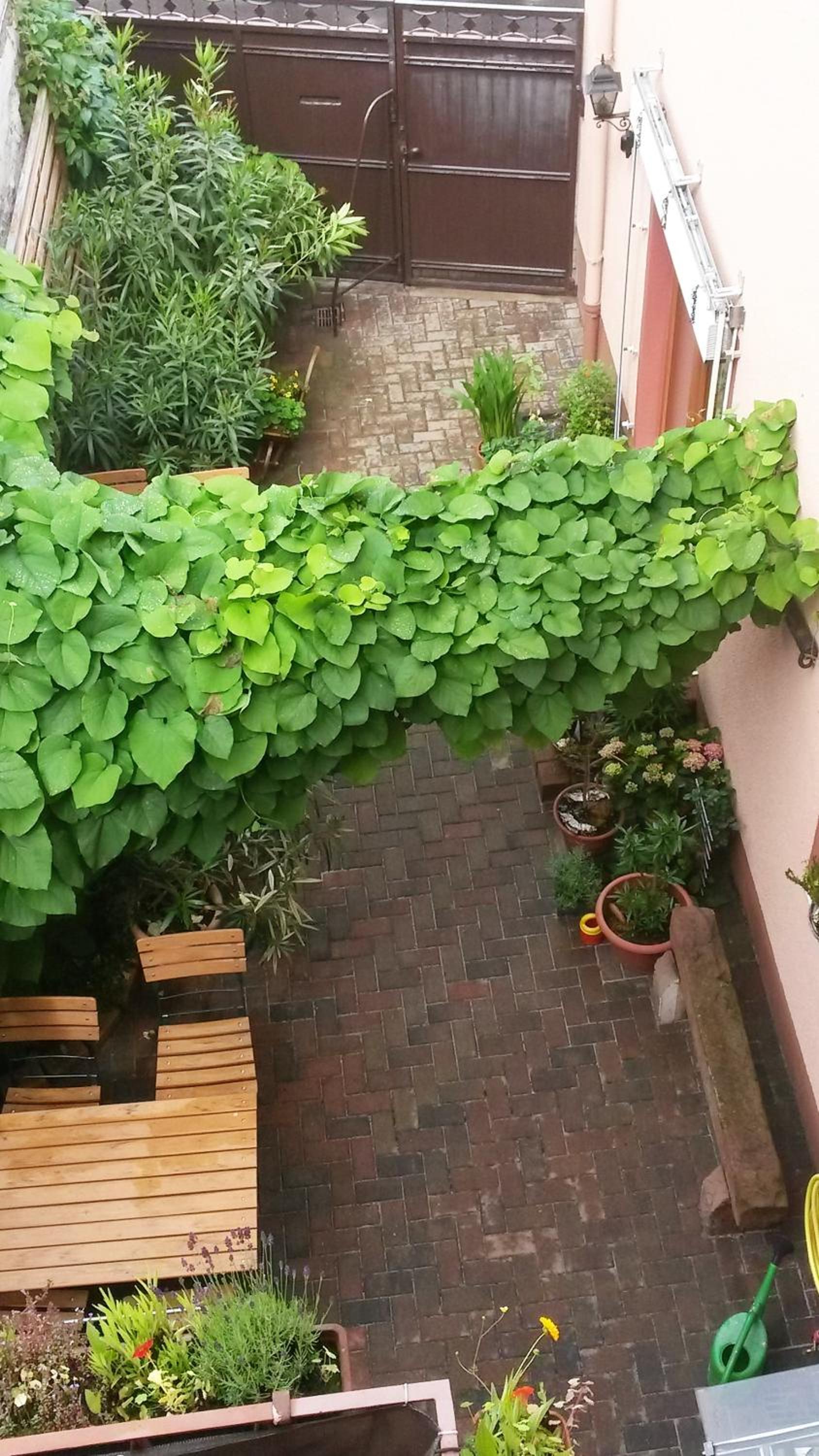 Pension Zur Schlummerstube
