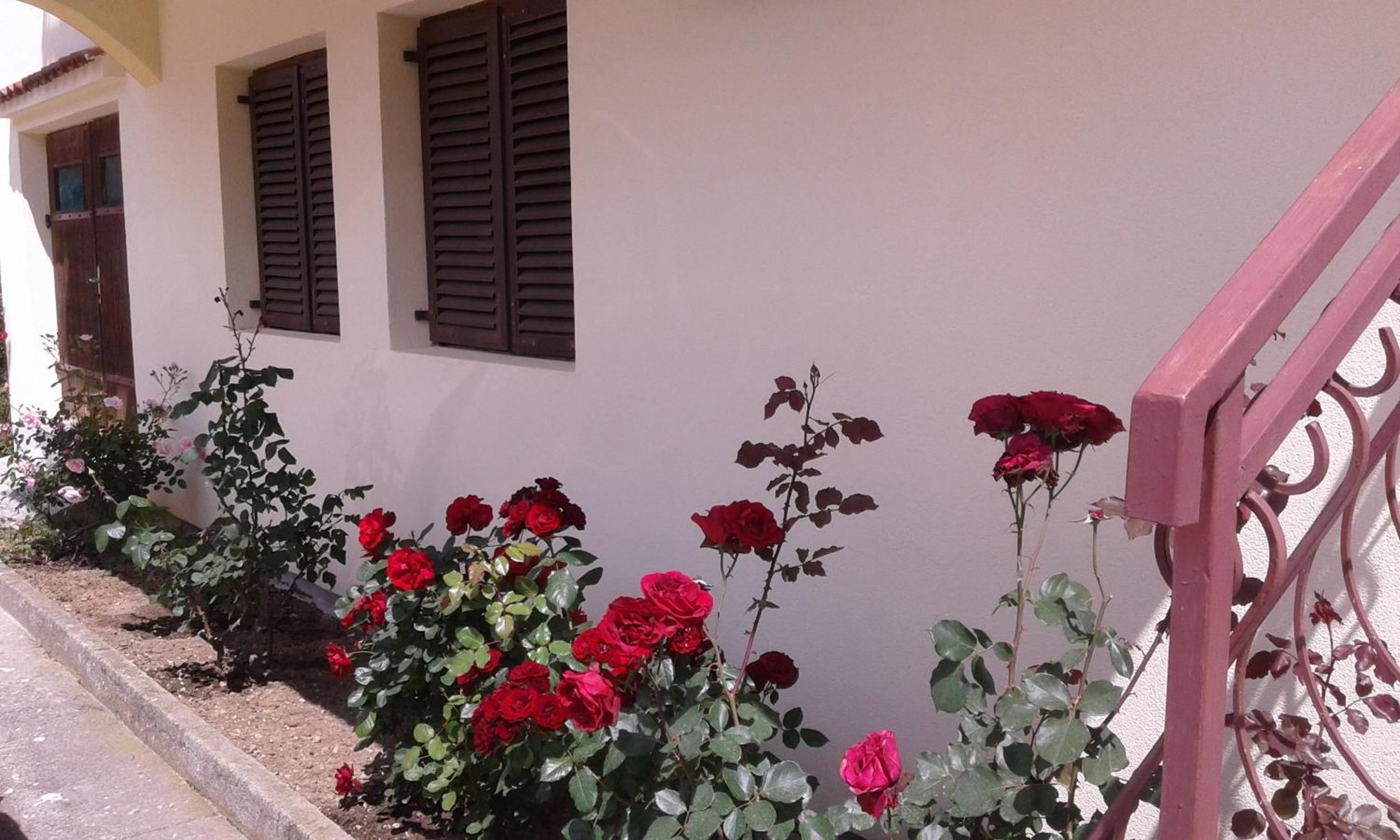 Apartment Adela