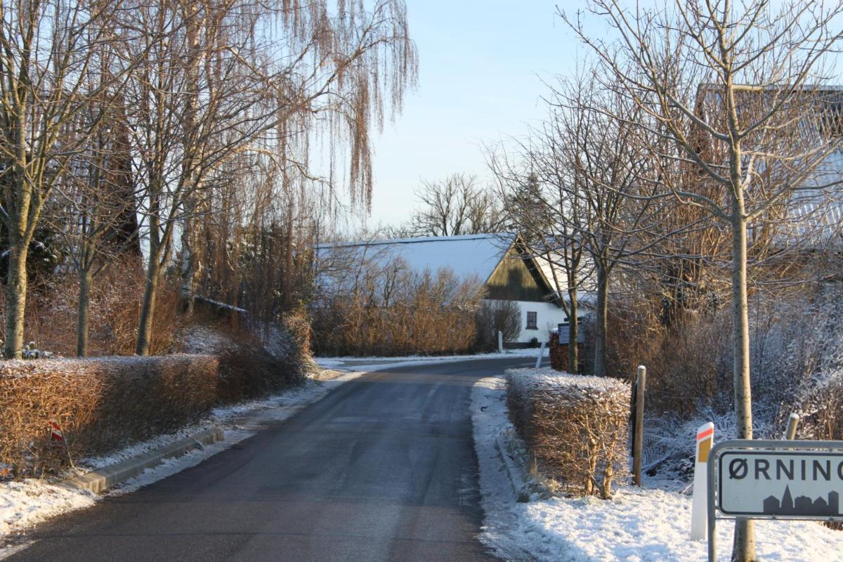 Borup Bed & Breakfast, photo 62