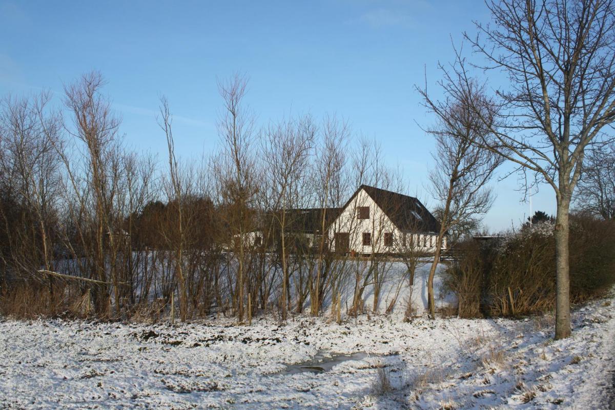 Borup Bed & Breakfast, photo 58