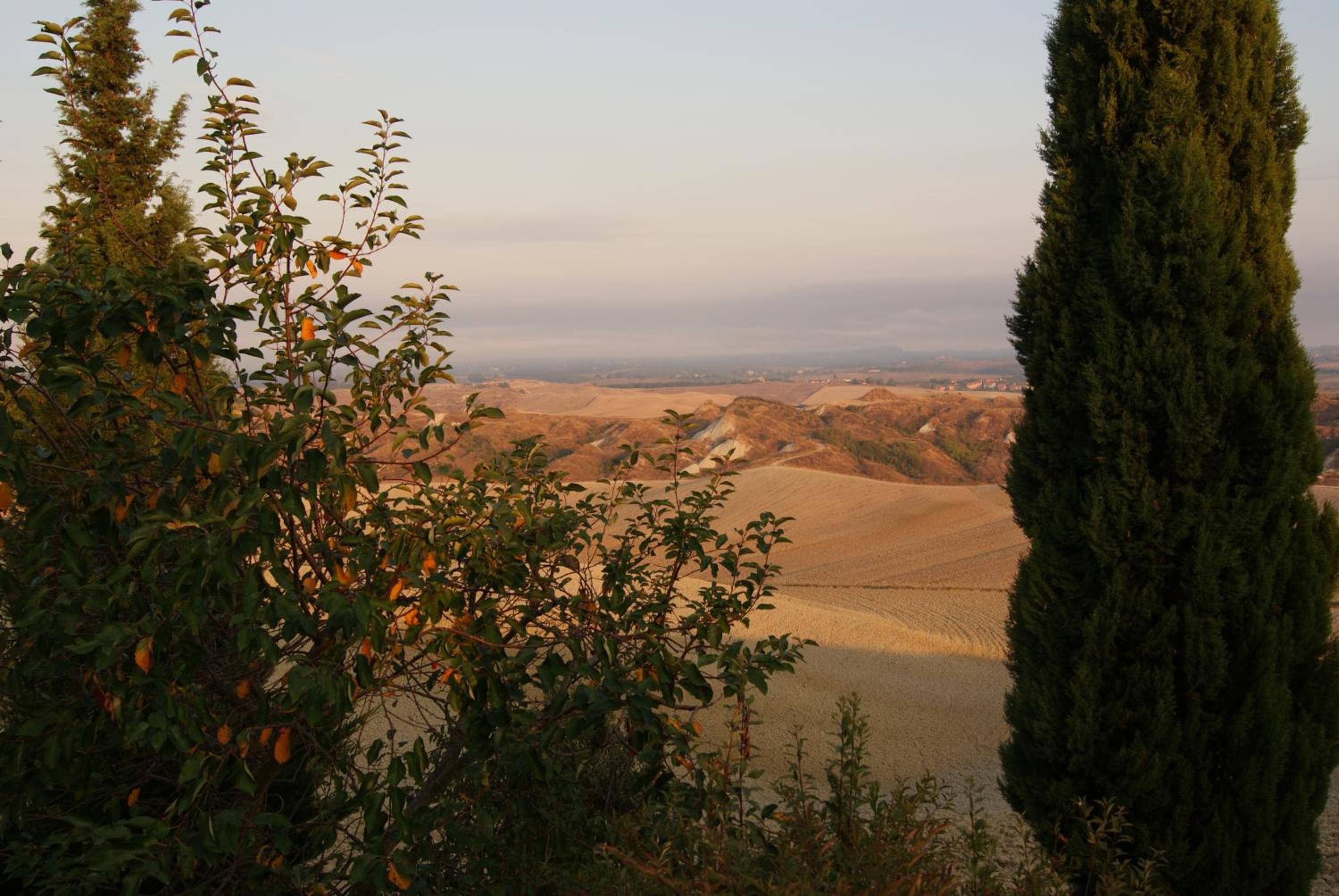 Photo 66
