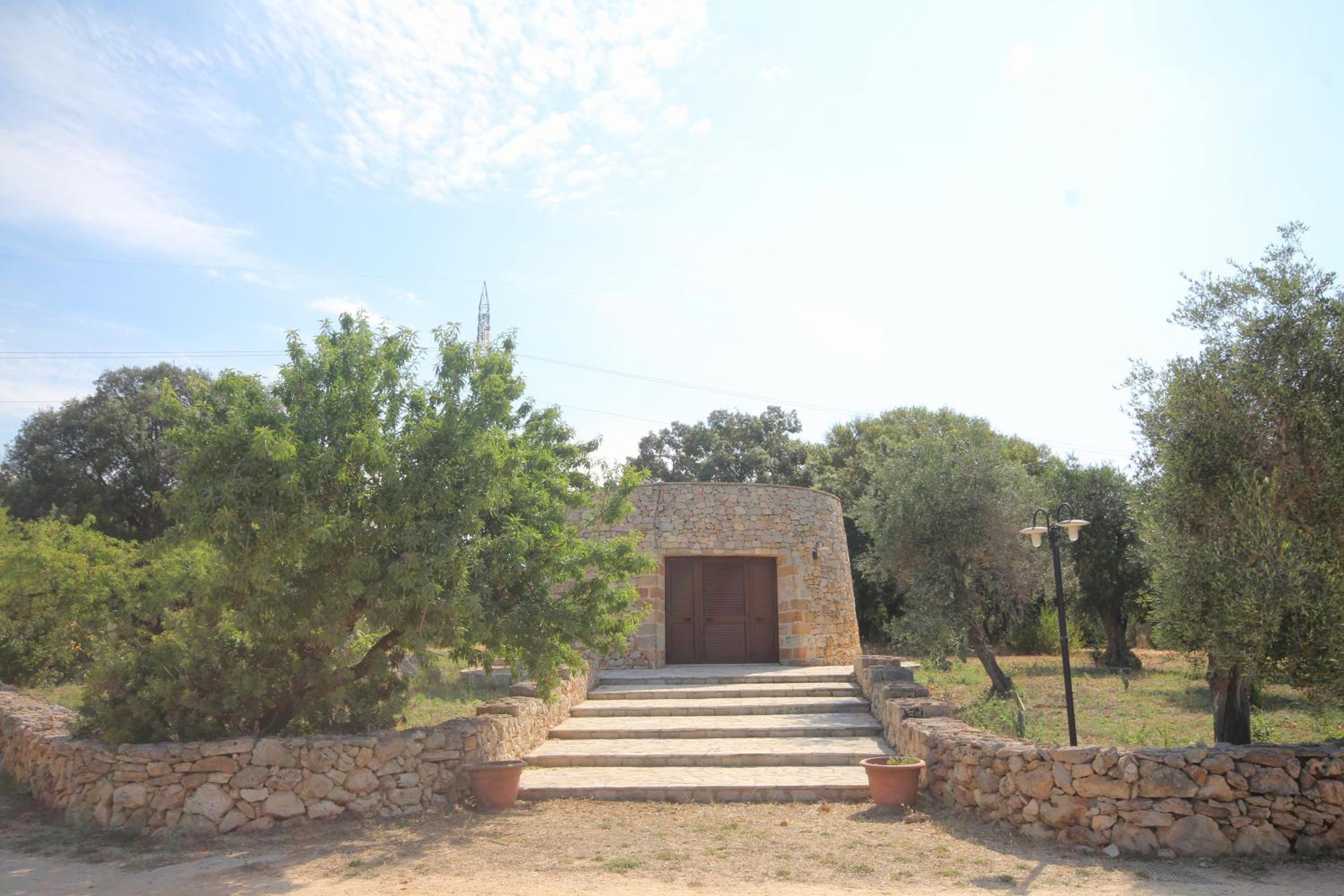 Photo 23