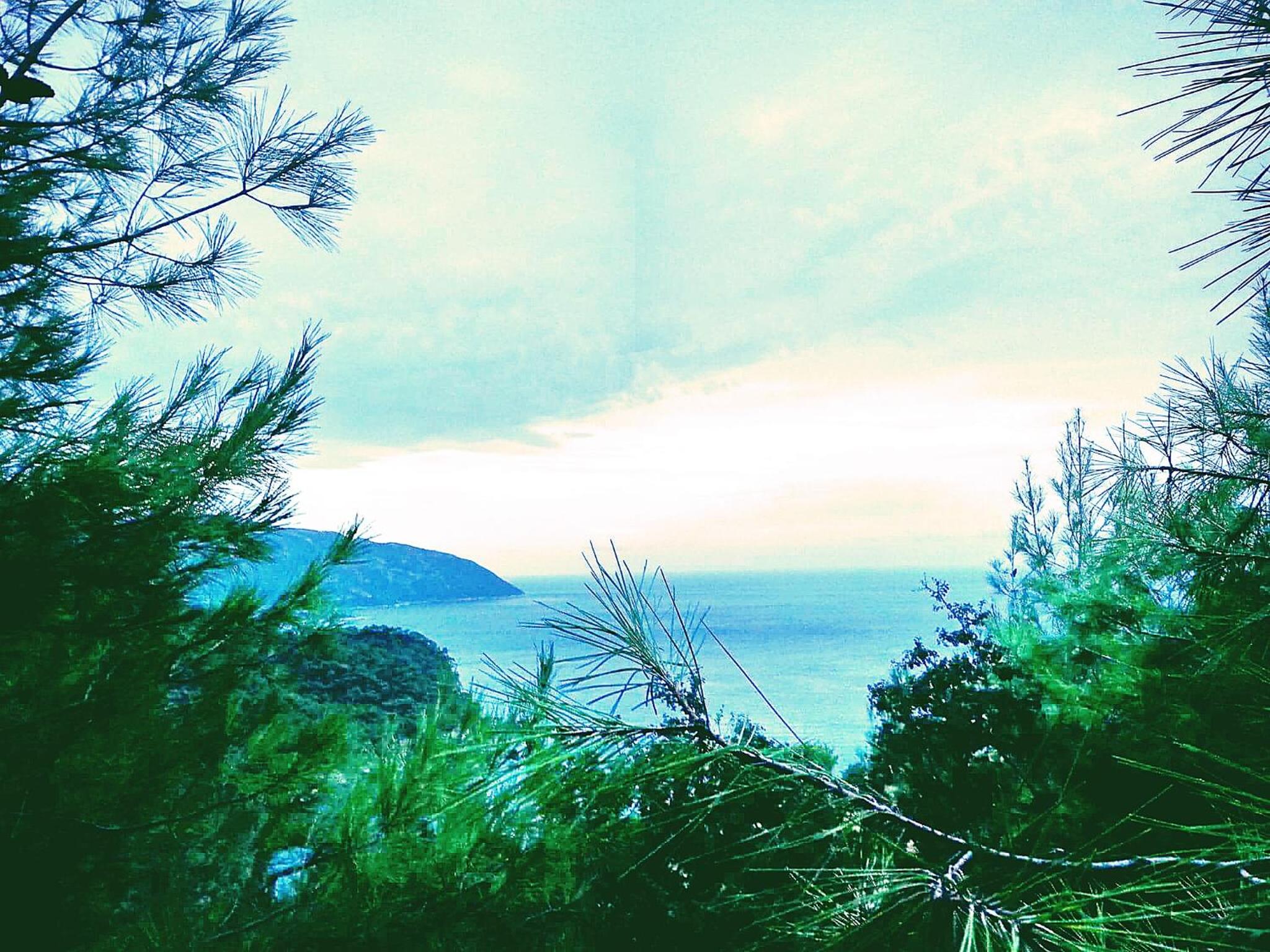 Photo 44
