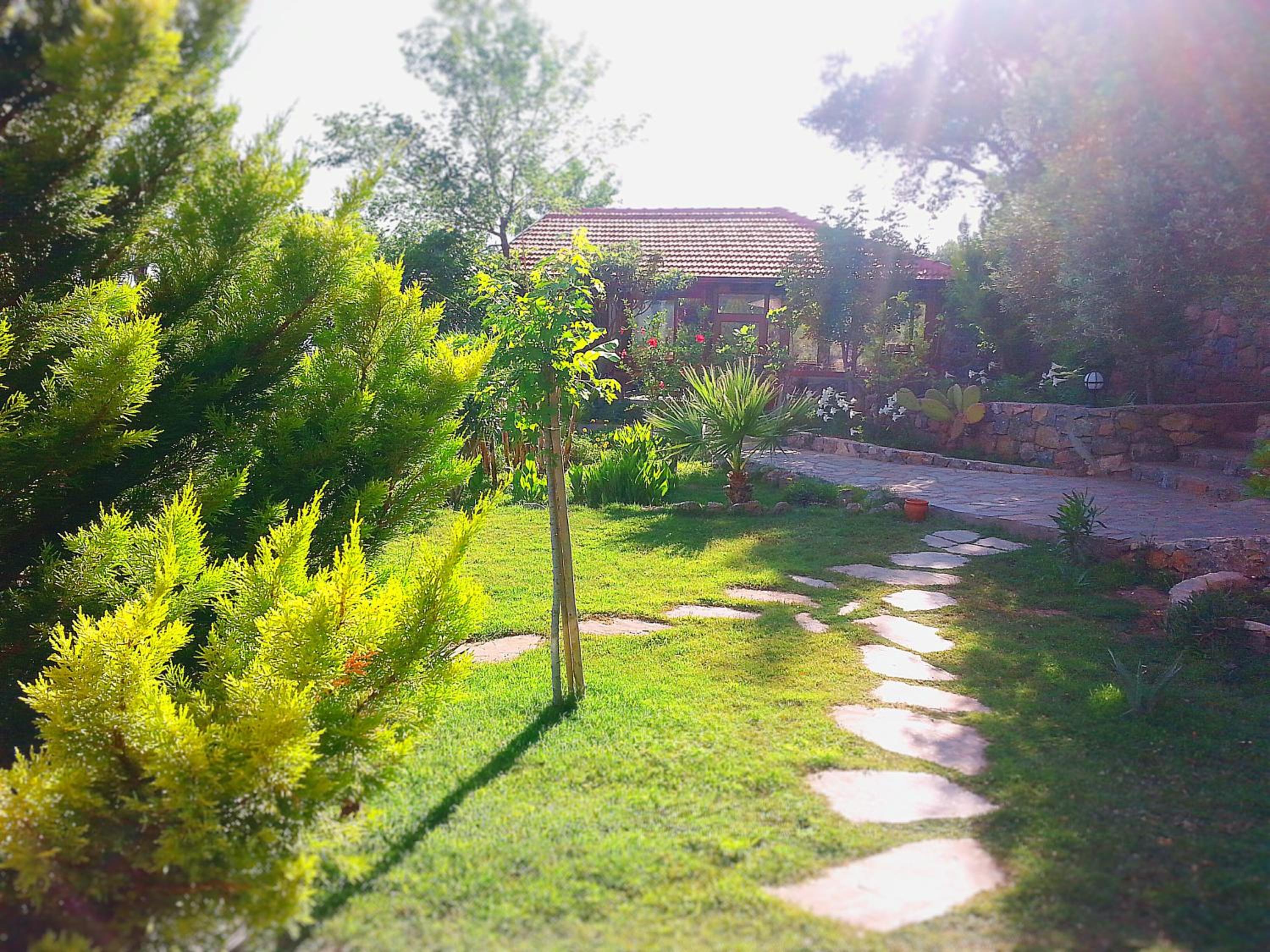 Photo 48