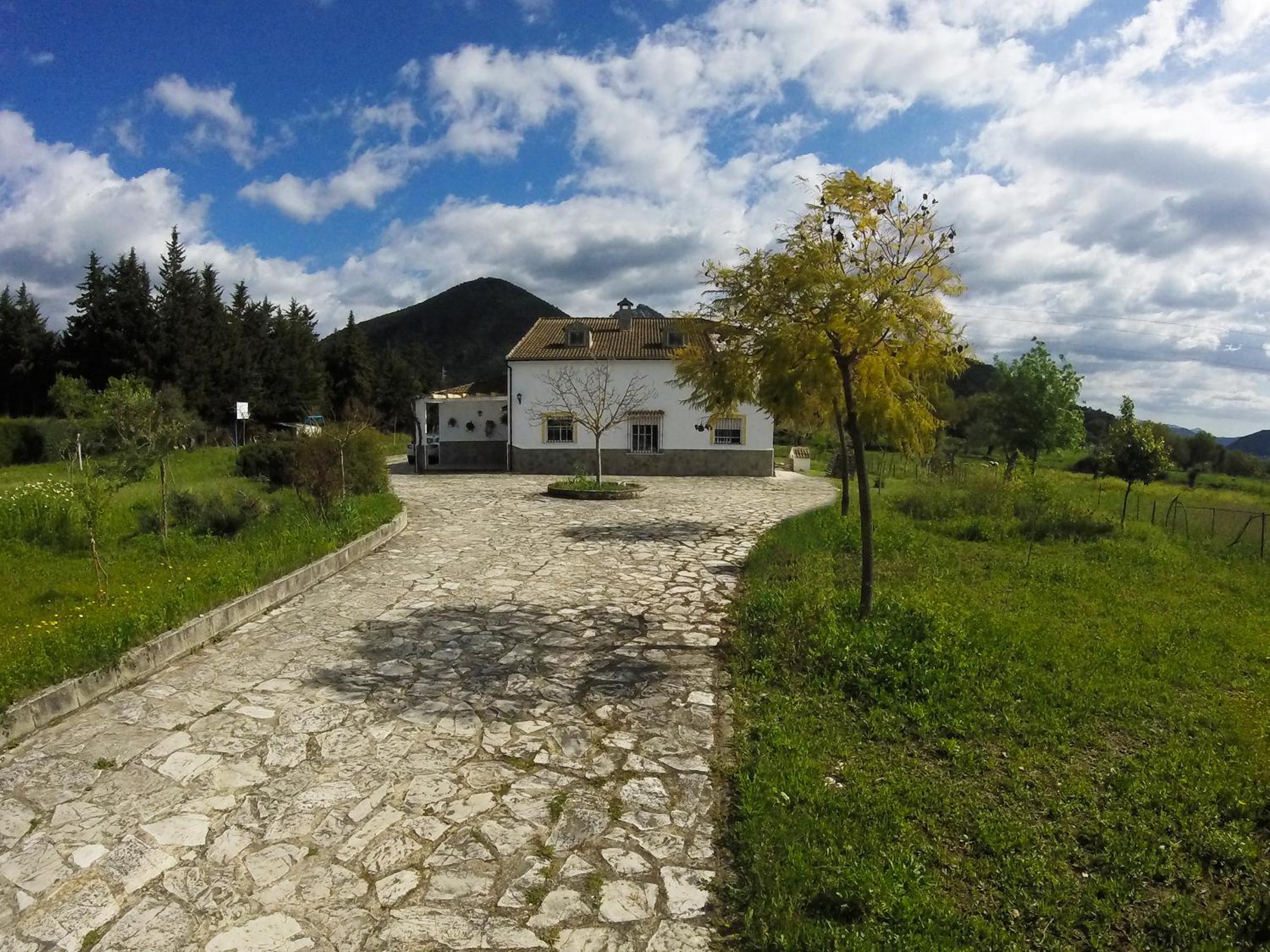 Photo 13