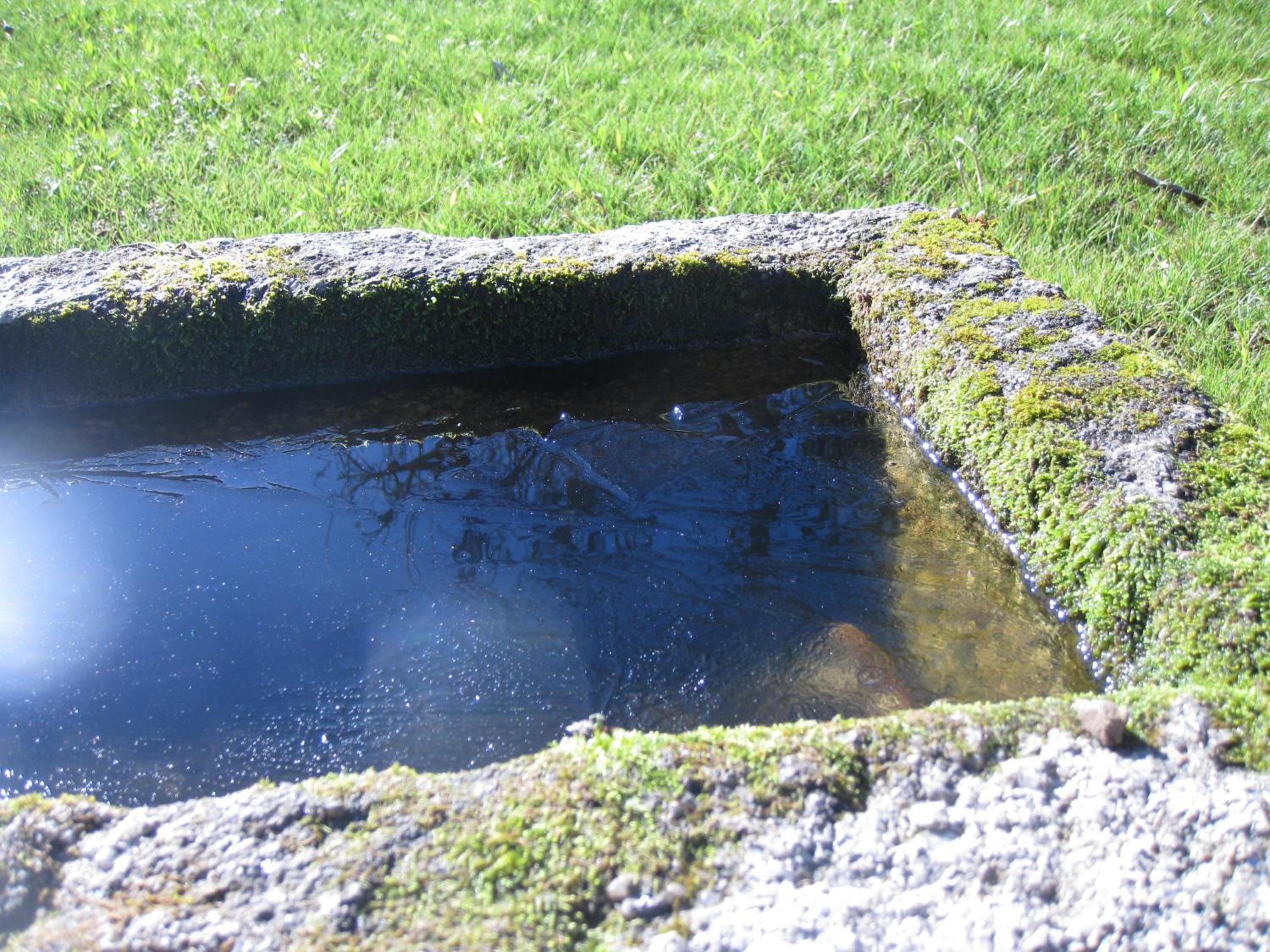 Photo 29
