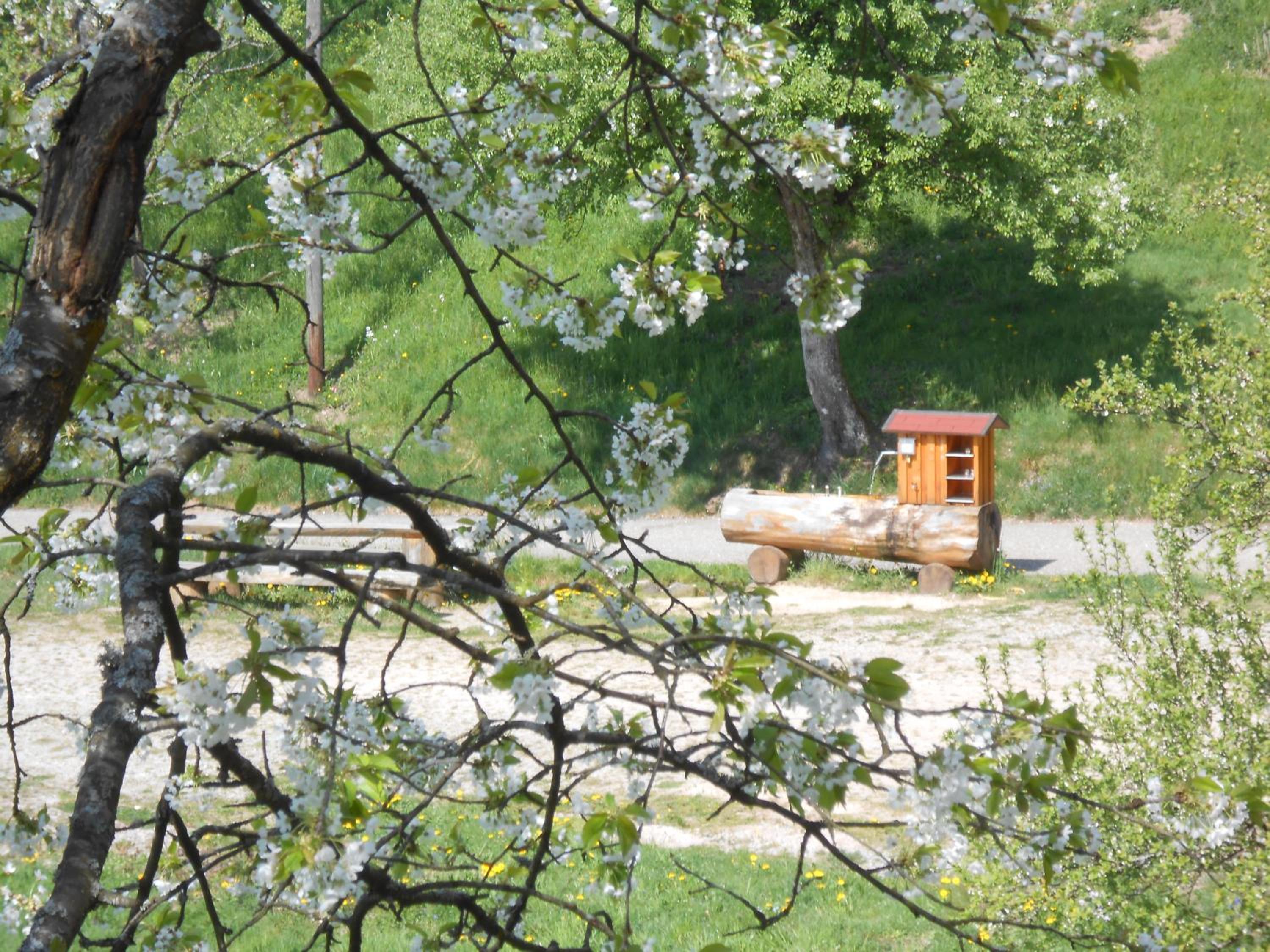 Photo 12