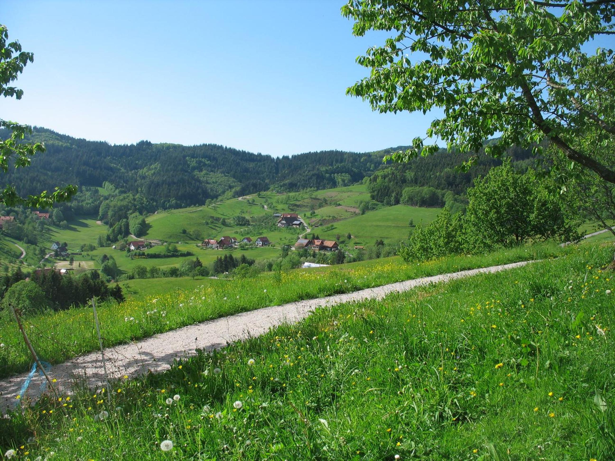 Photo 10