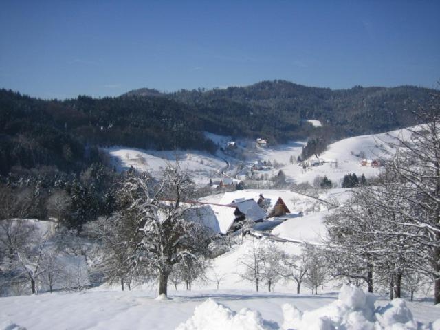 Photo 14