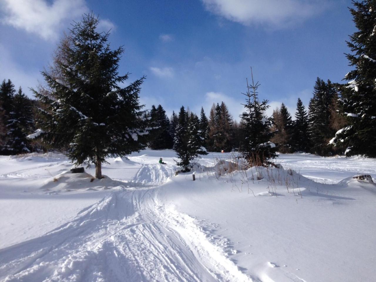 Chaletdorf-Fanningberg