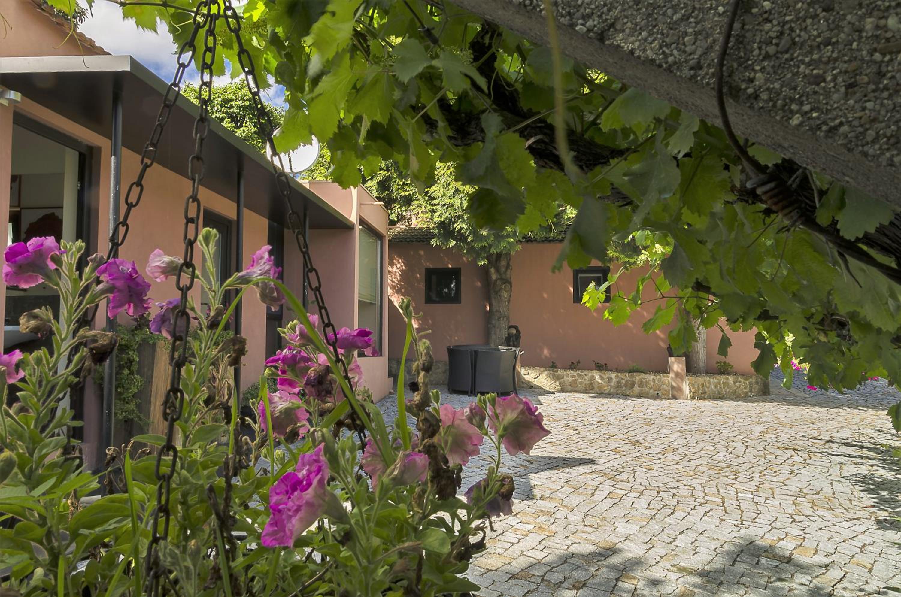 Family Secrets Douro view 2