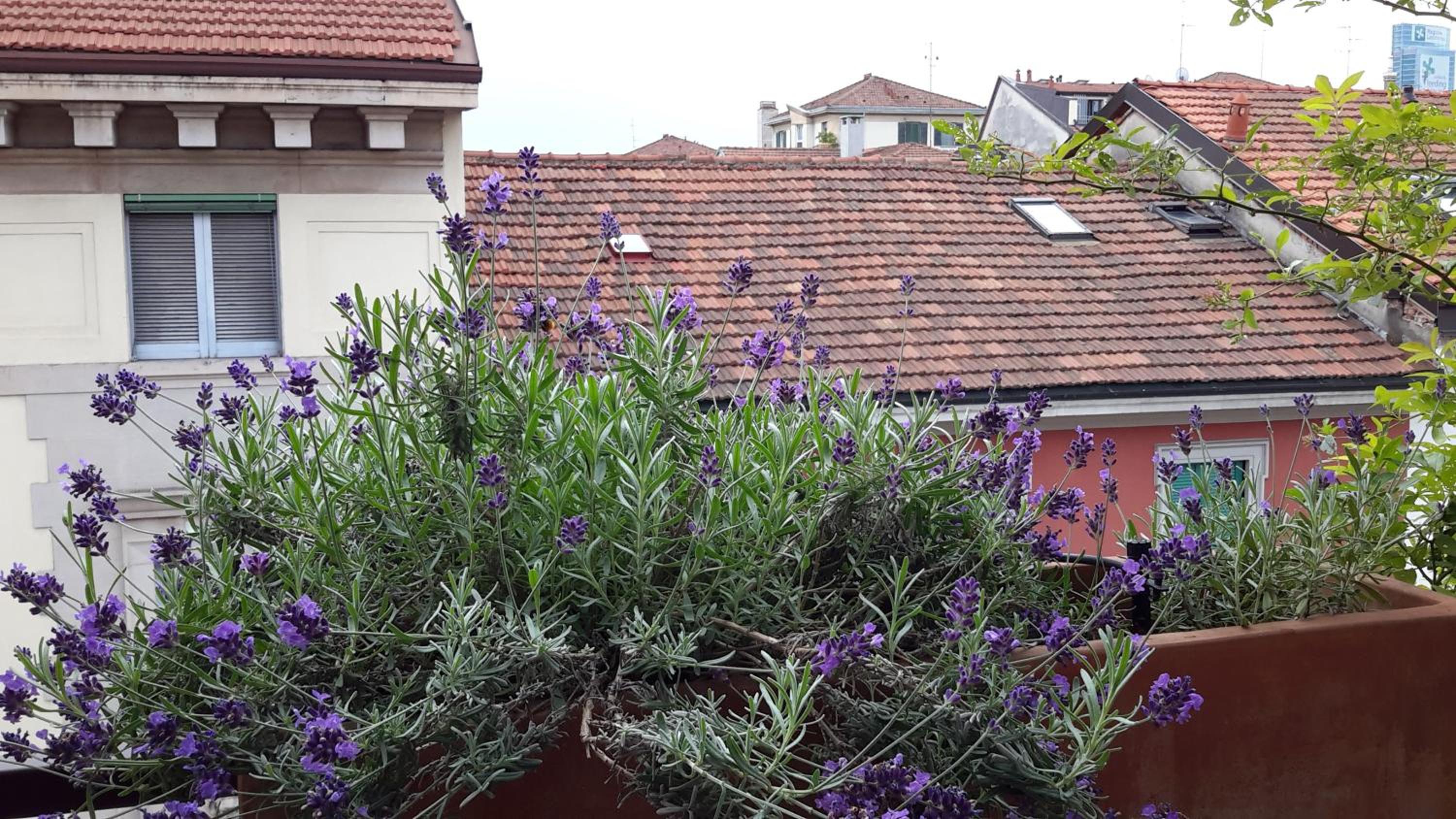 Casatitta Bed & Breakfast