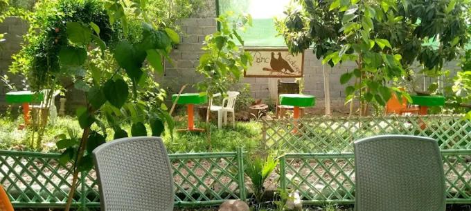 Ecogite La Tourterelle - Guesthouse