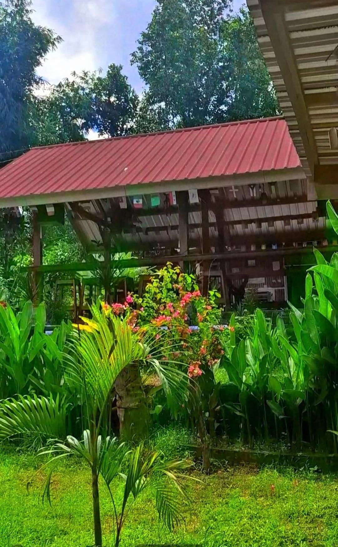 Bamboo Craft Homestay