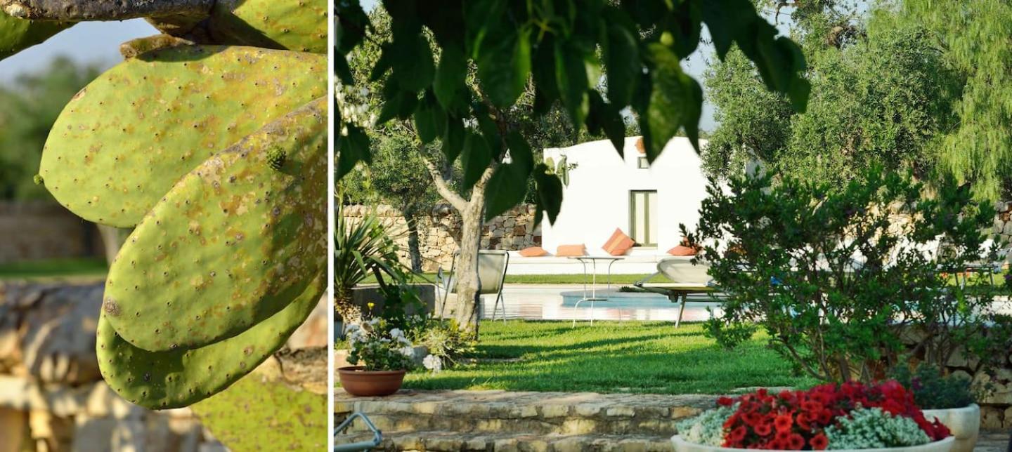 La Corte dei Trulli