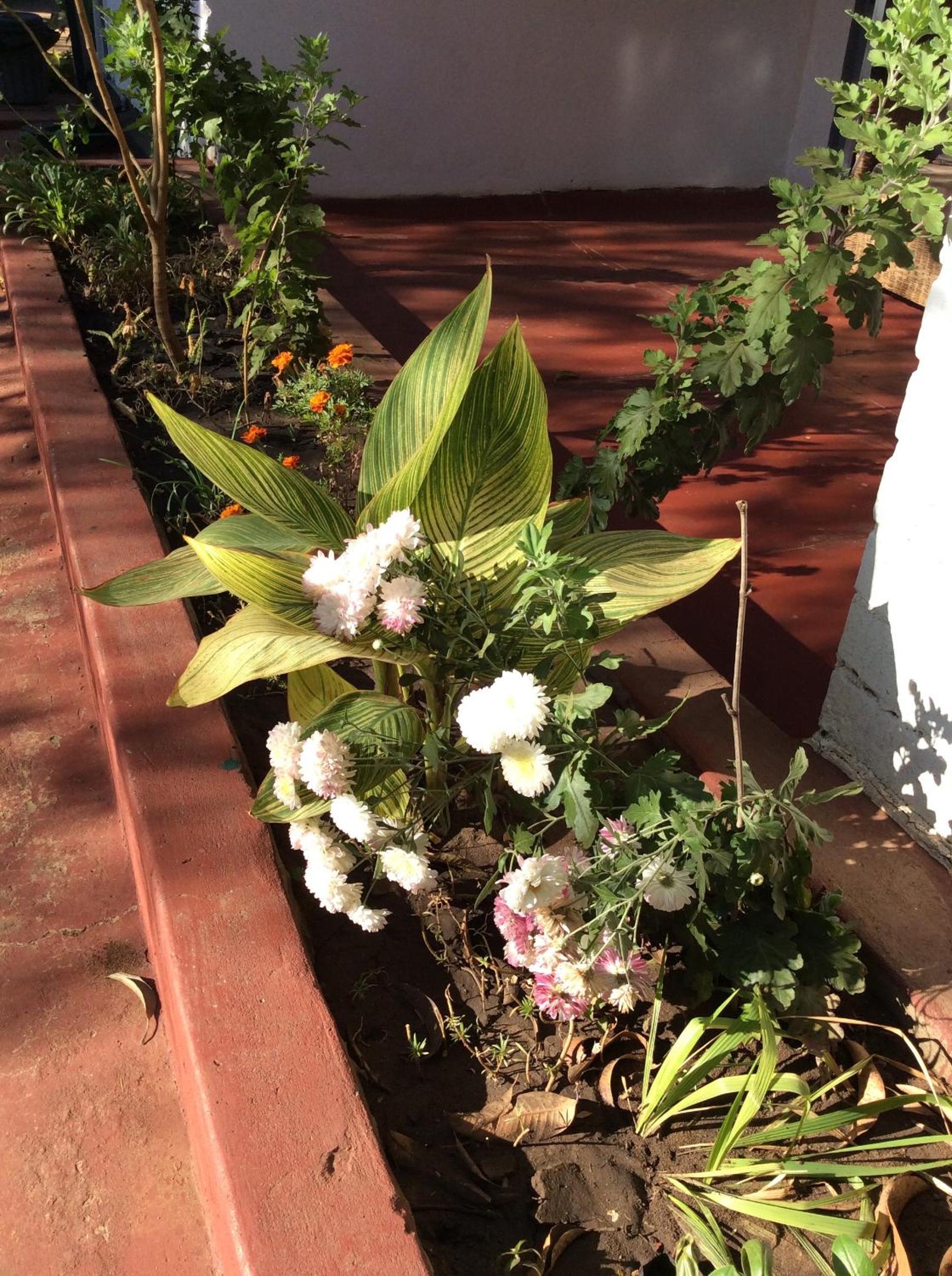 Tabonina Guesthouse