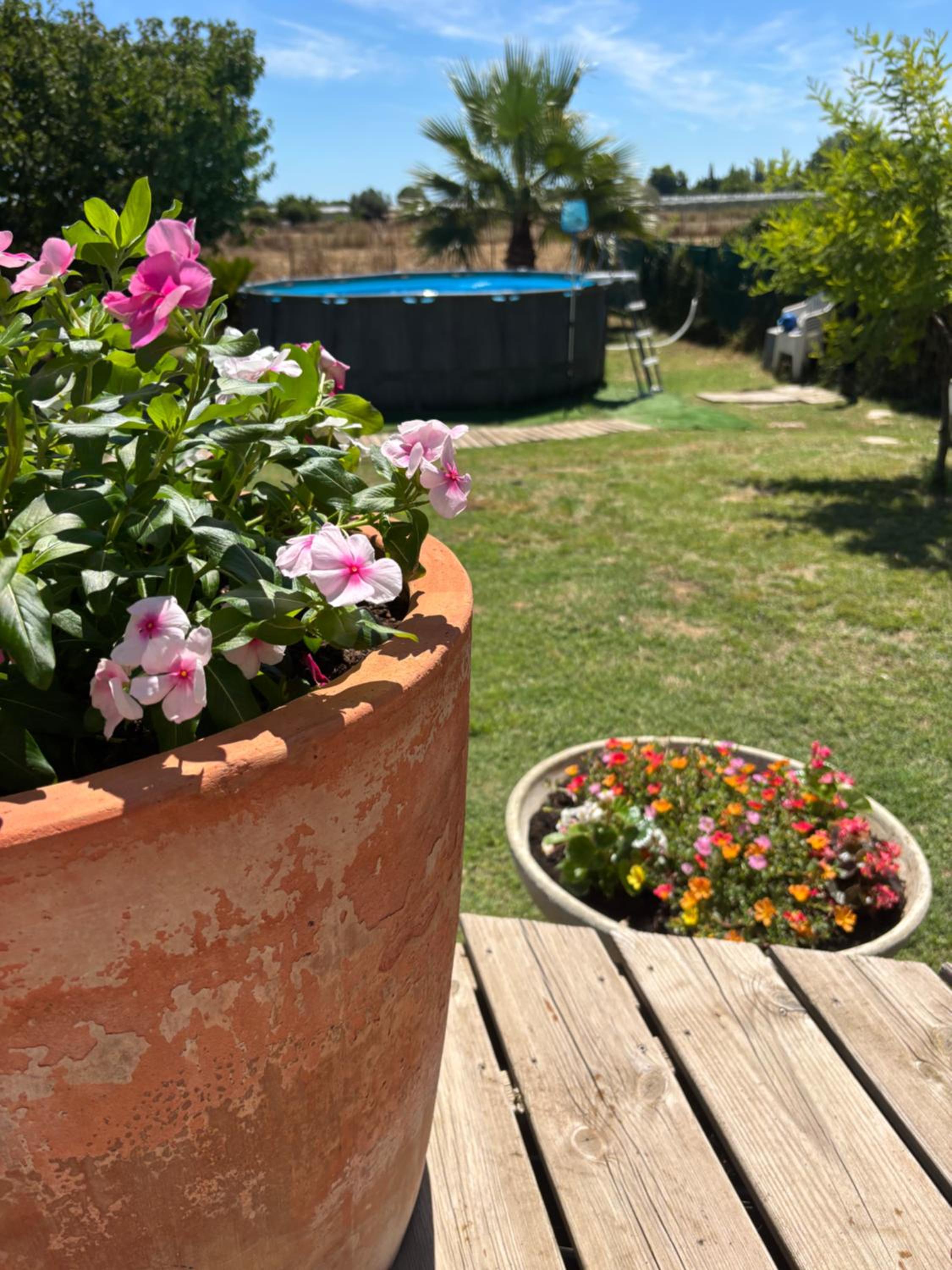 Maison de vacances en Camargue, photo 32