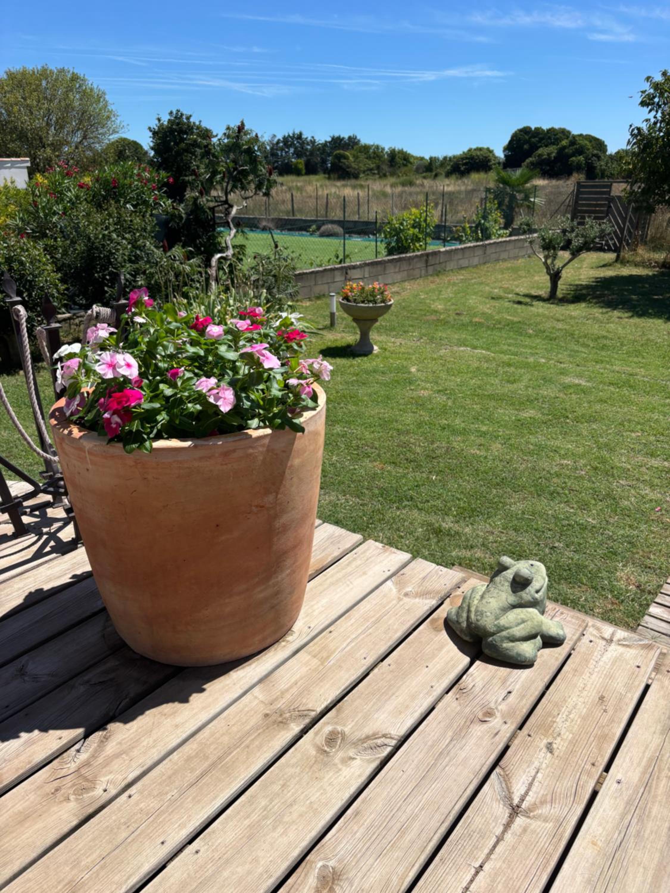 Maison de vacances en Camargue, photo 15
