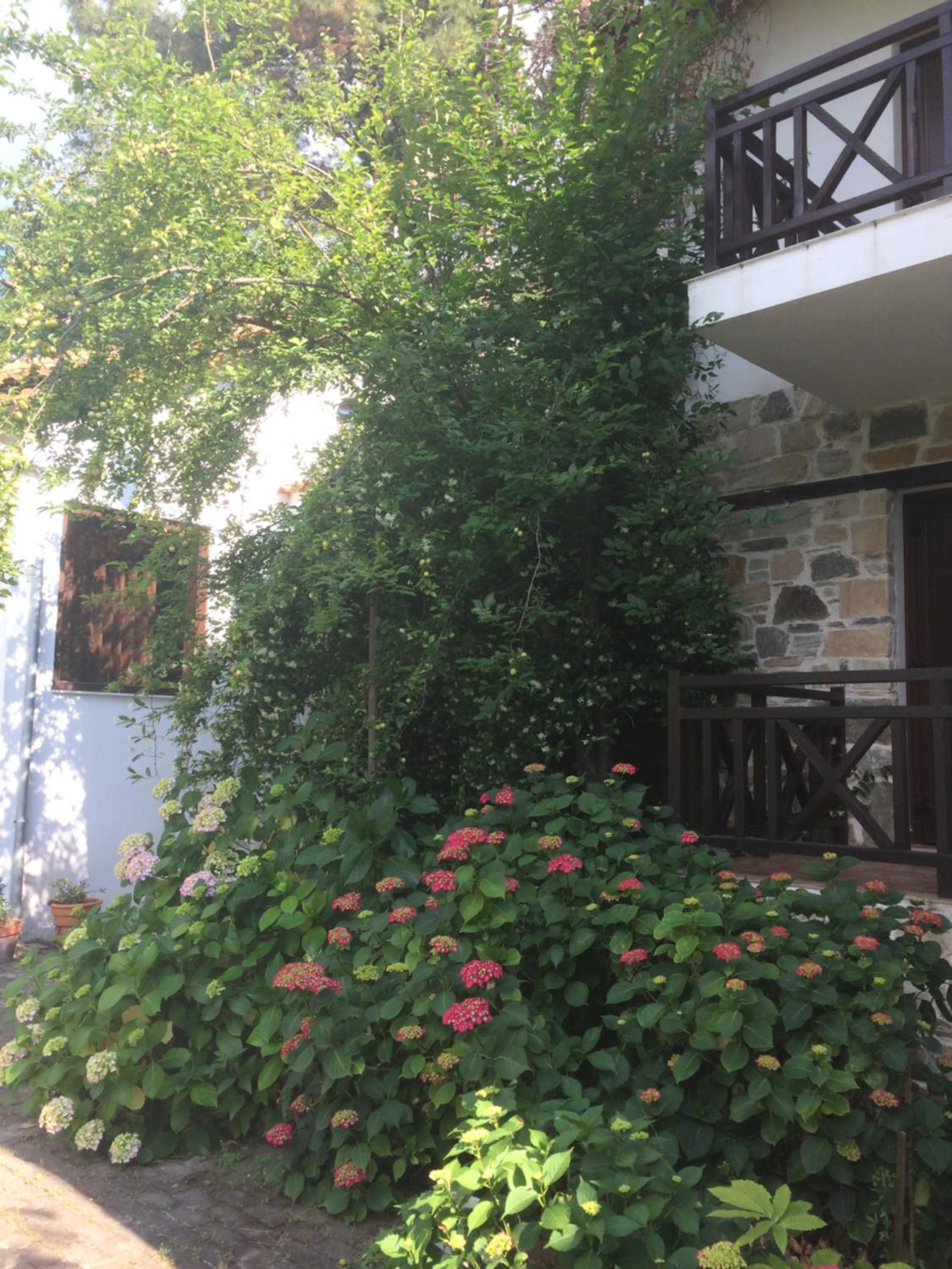Photo 19