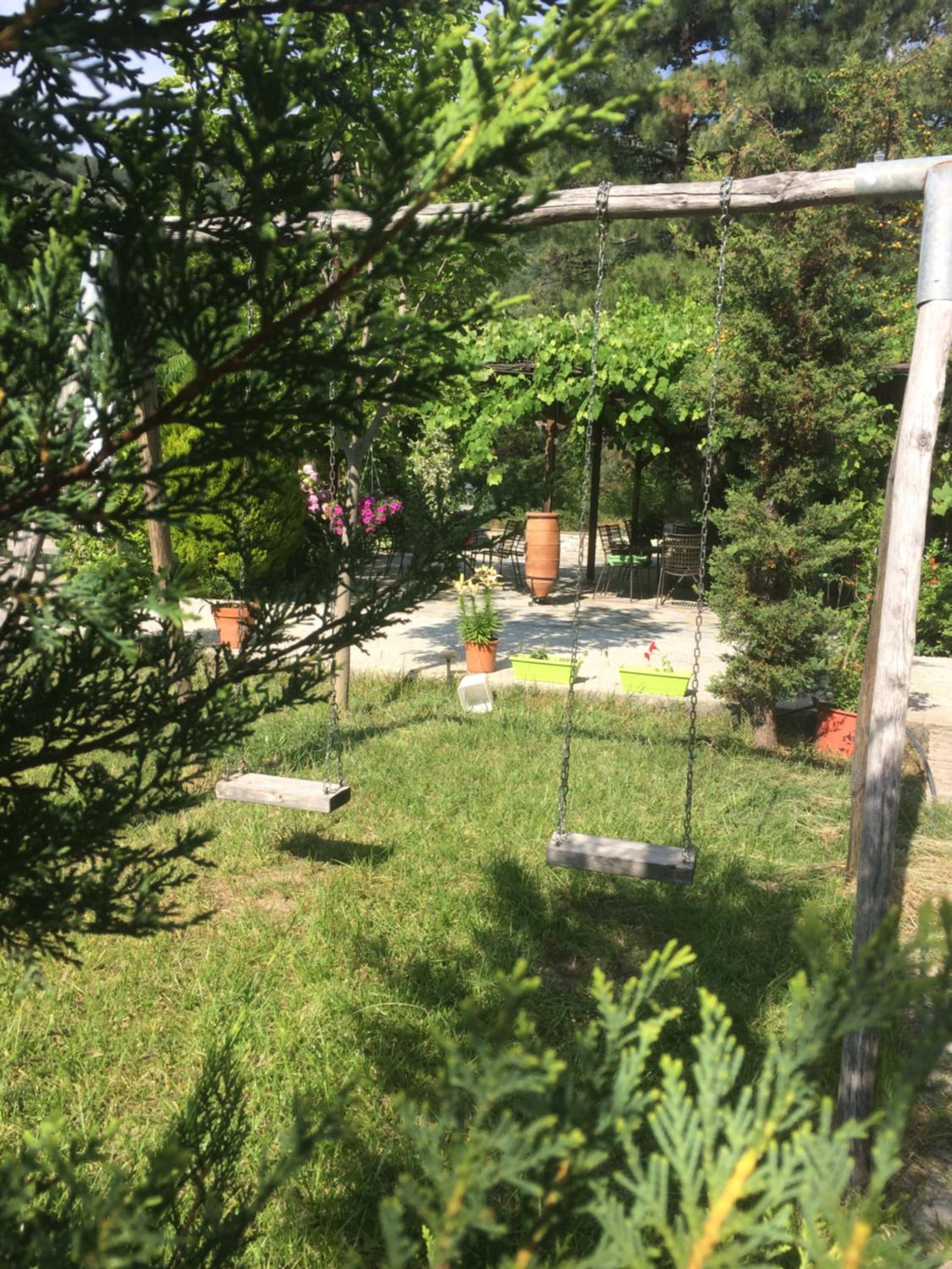 Photo 20