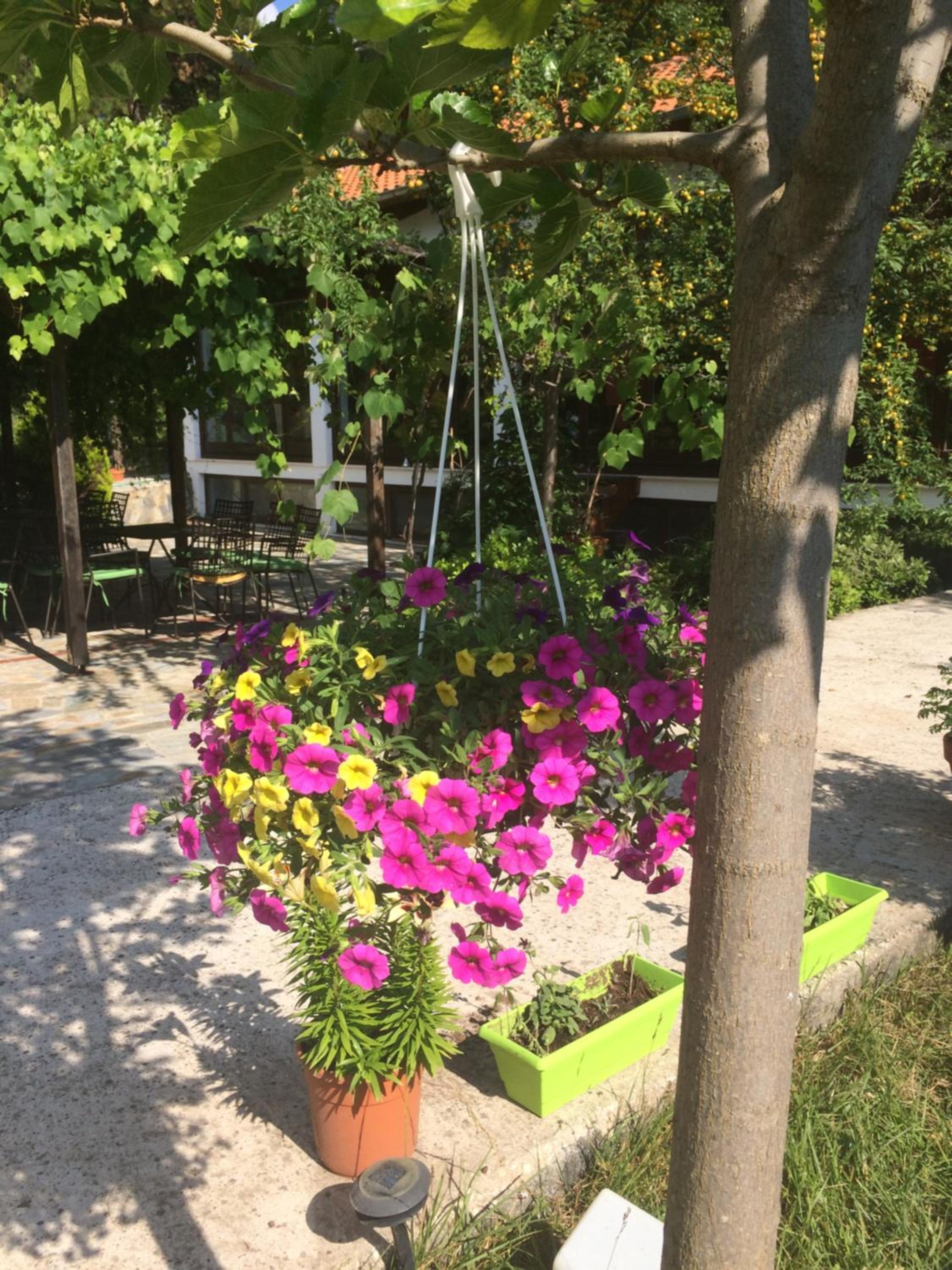 Photo 21