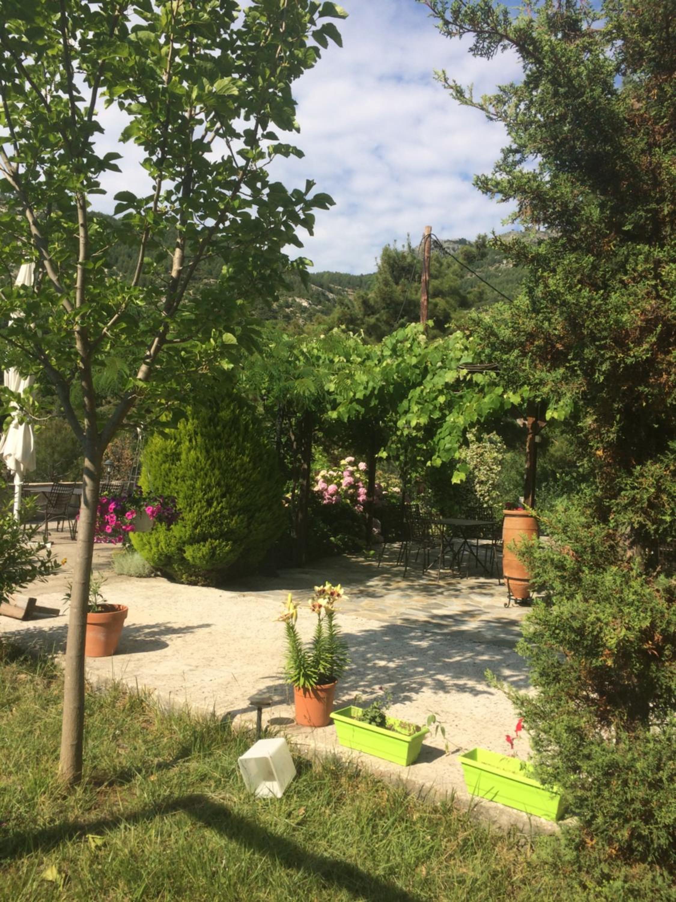 Photo 22