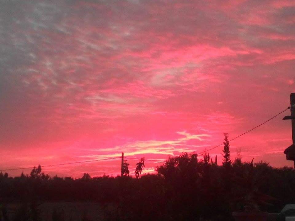 Photo 71