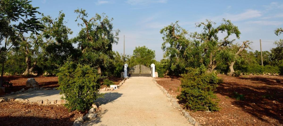 La Corte dei Trulli