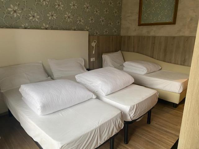 Hotel Rosa, photo 17