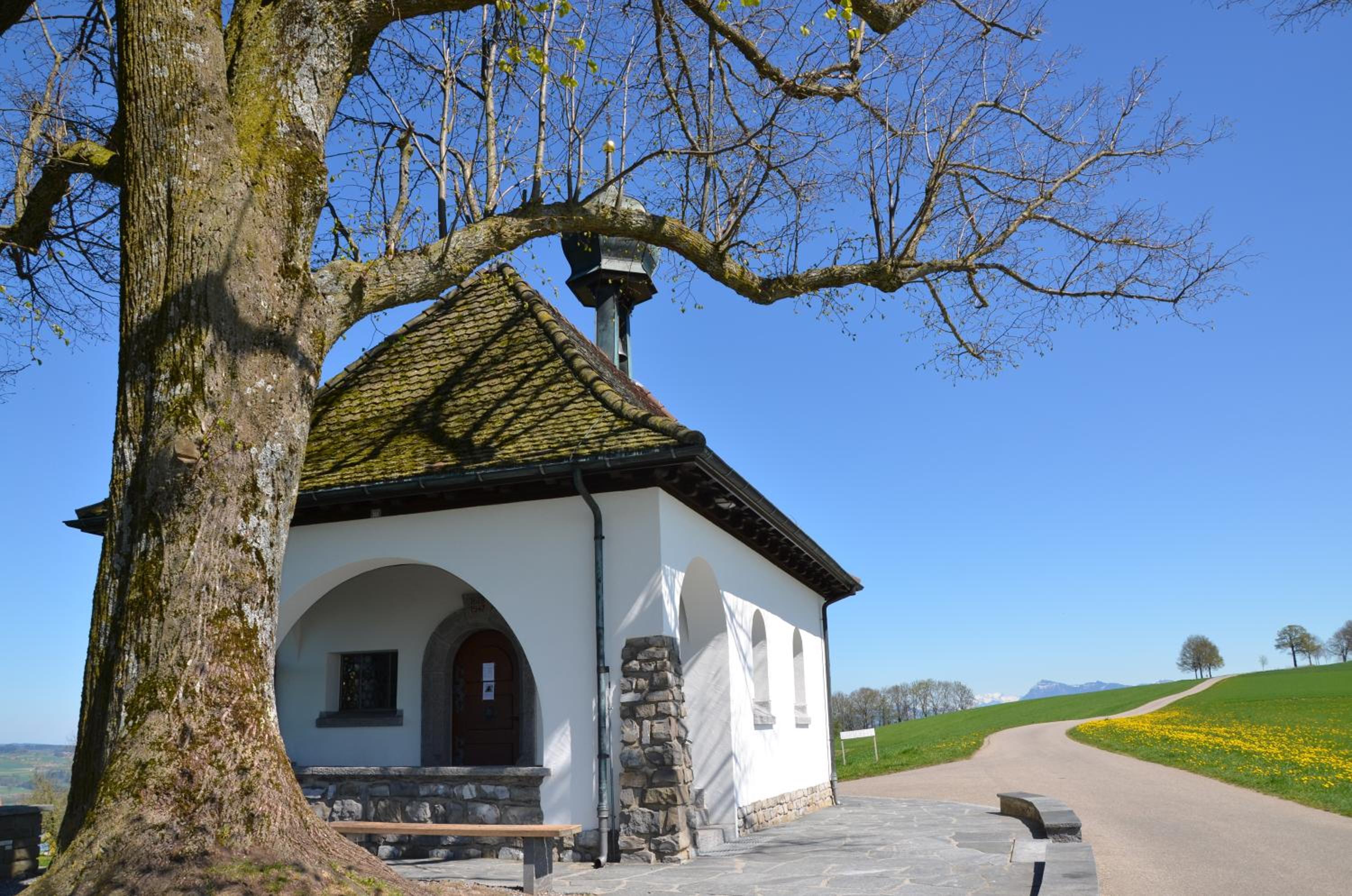 B&B Friedau
