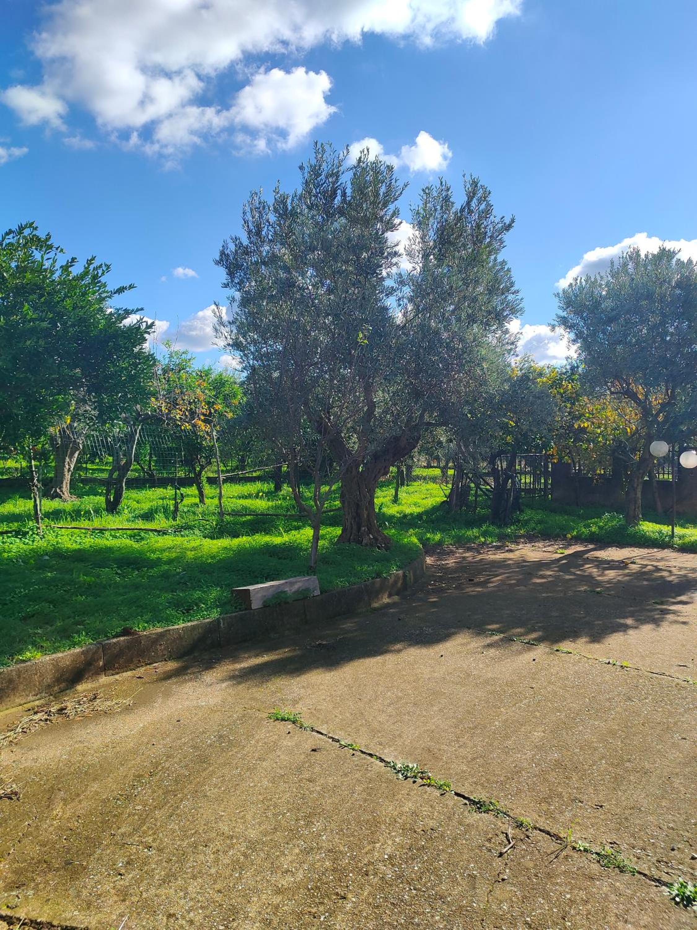 Holiday Calabria Rooms