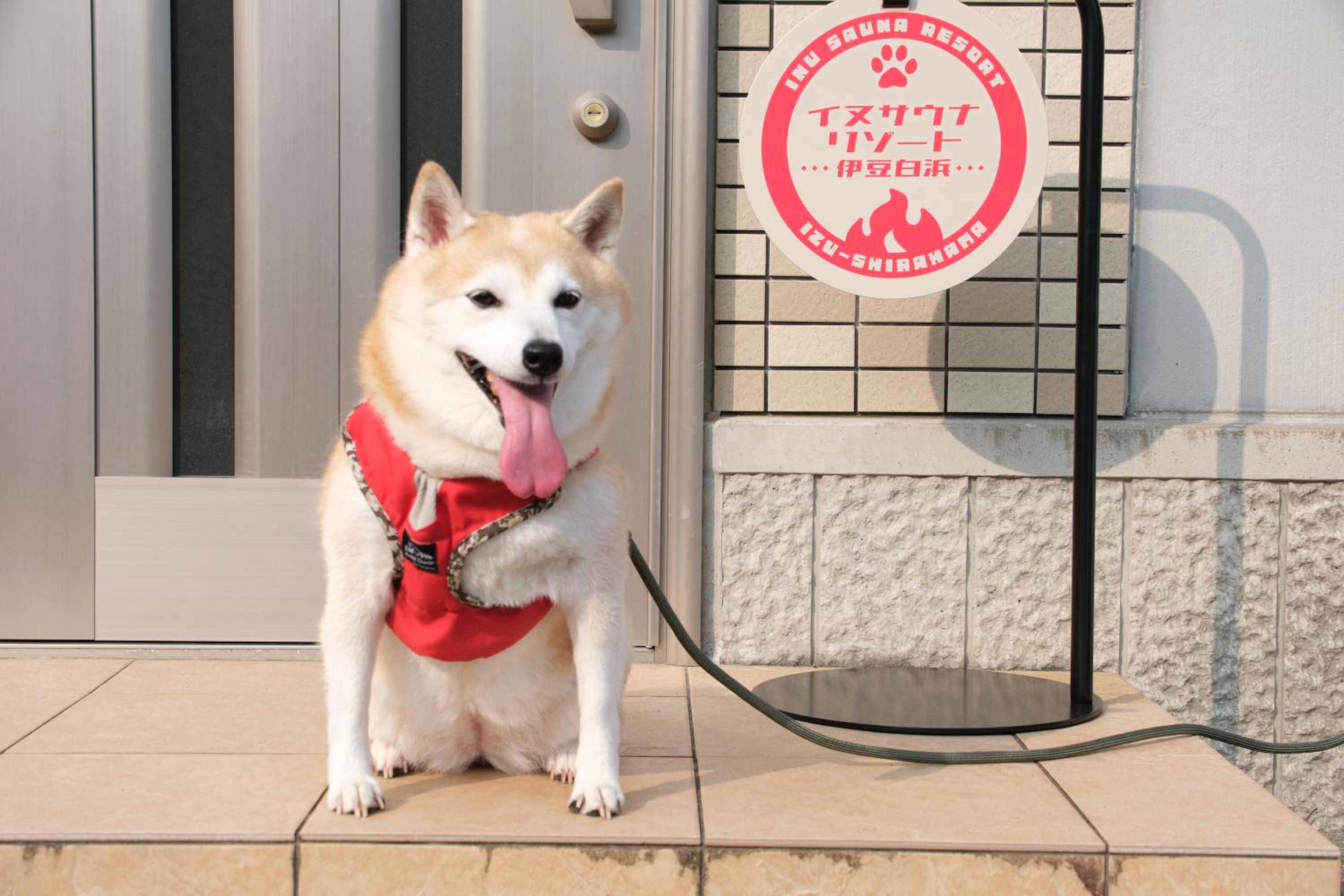 イヌサウナリゾート伊豆白浜 愛犬と焚火とバレルサウナの暖かいヴィラ