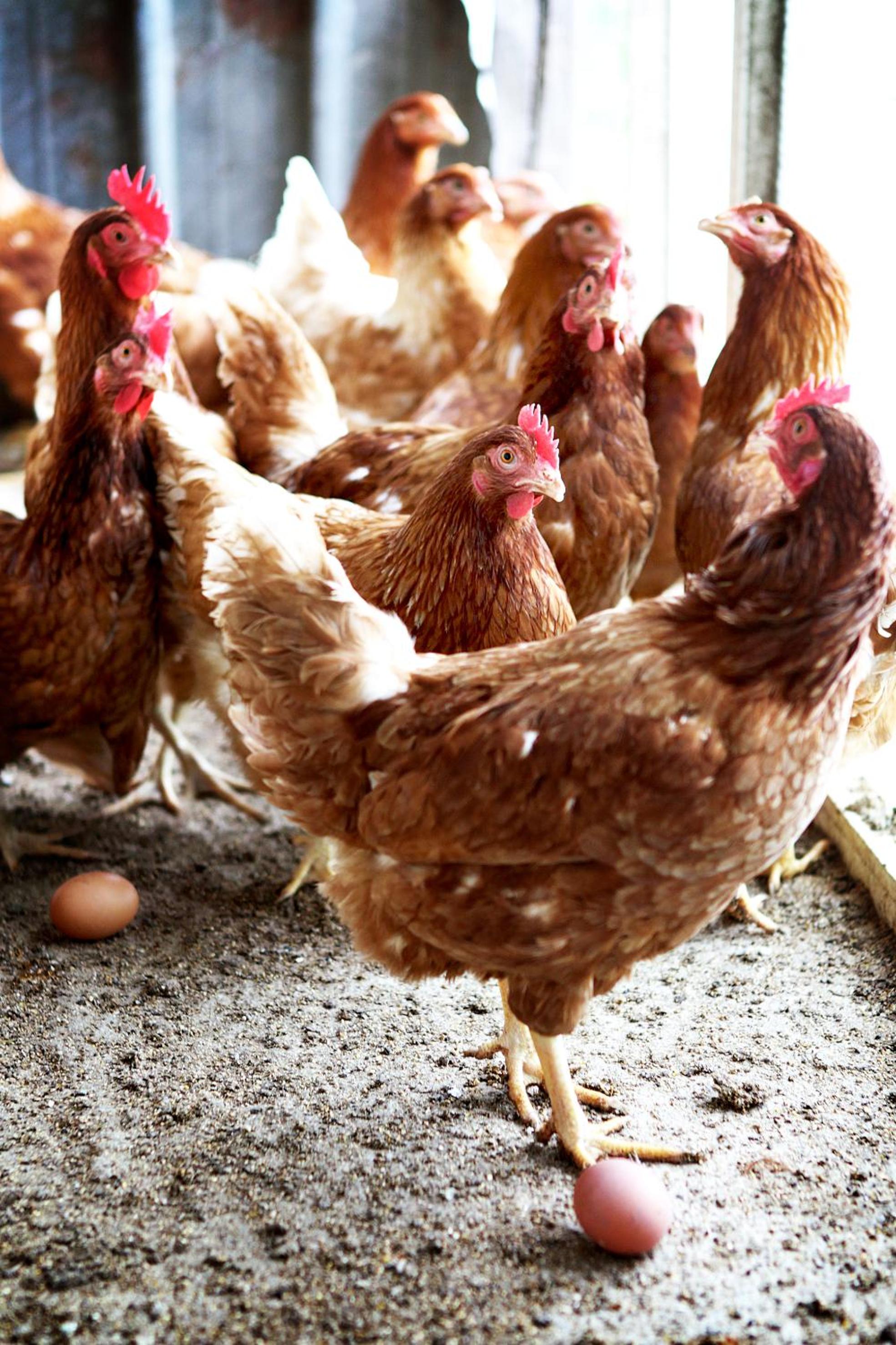 other