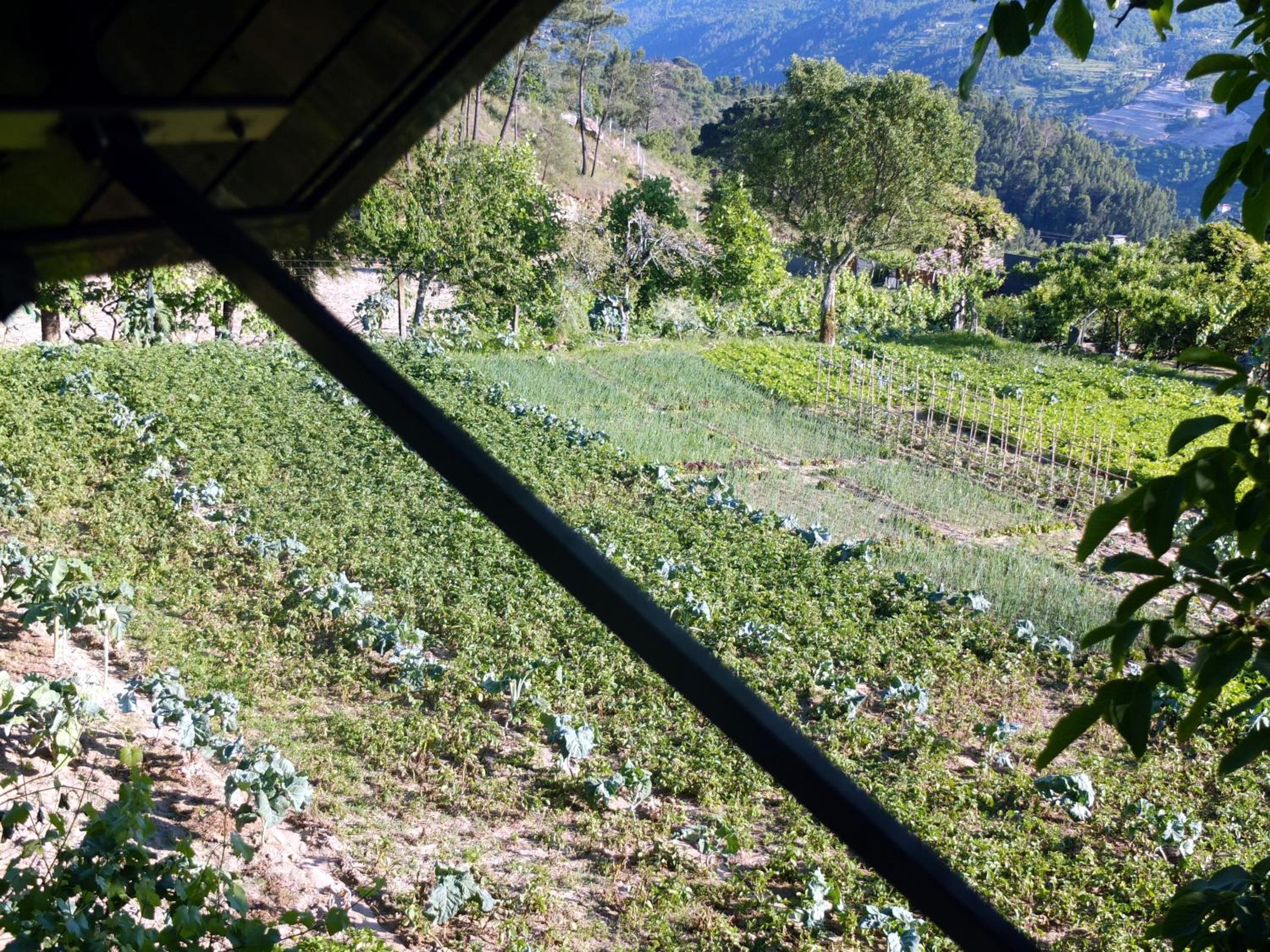 Family Secrets Douro view 5