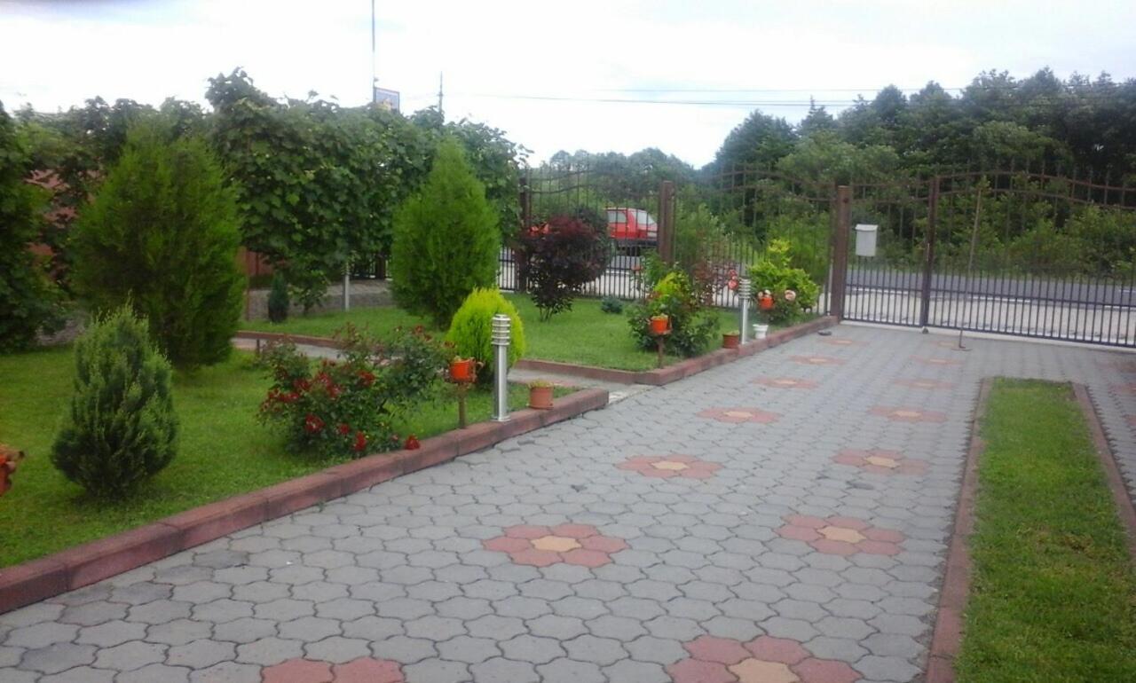 Photo 51