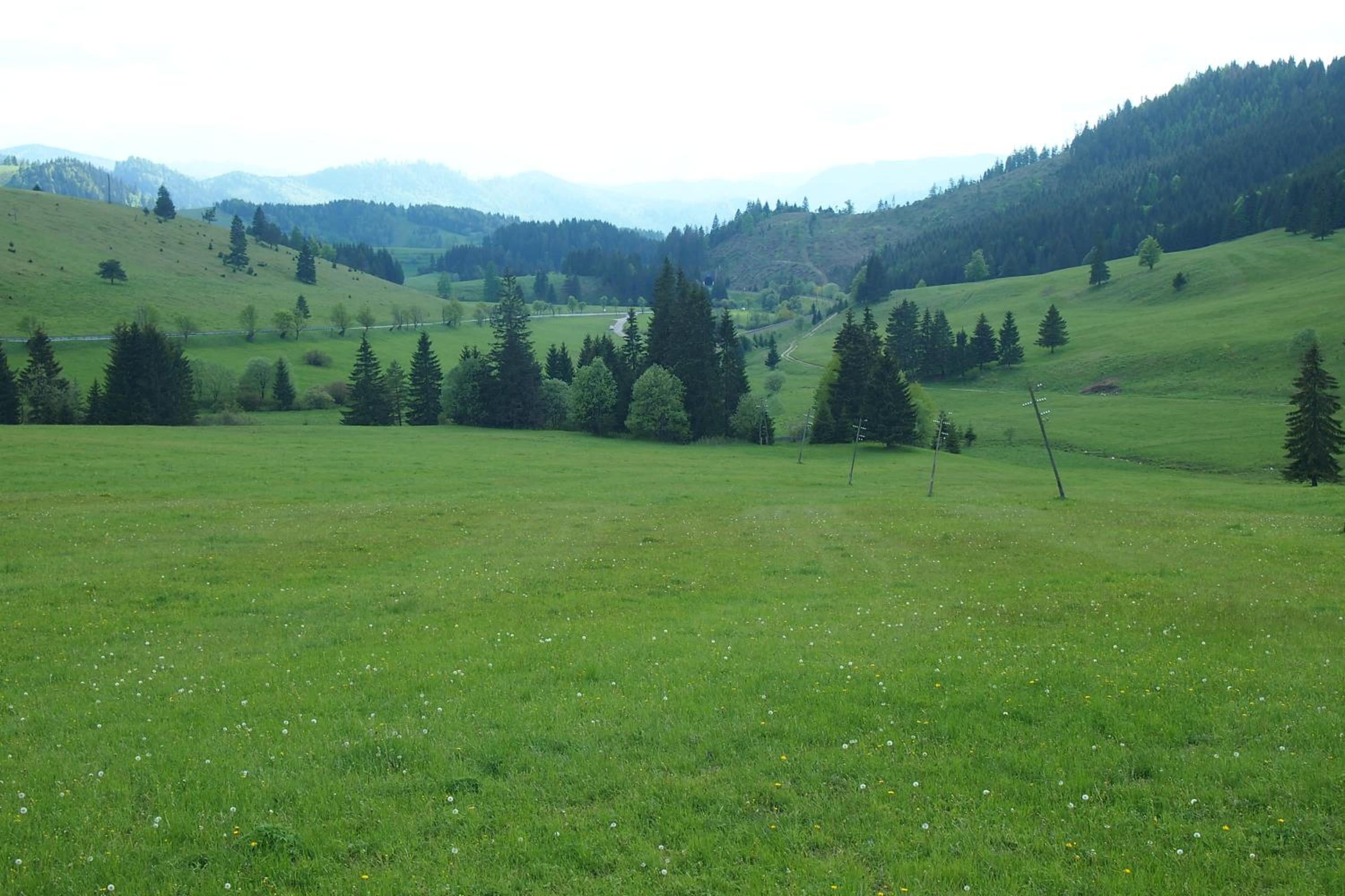 Photo 44