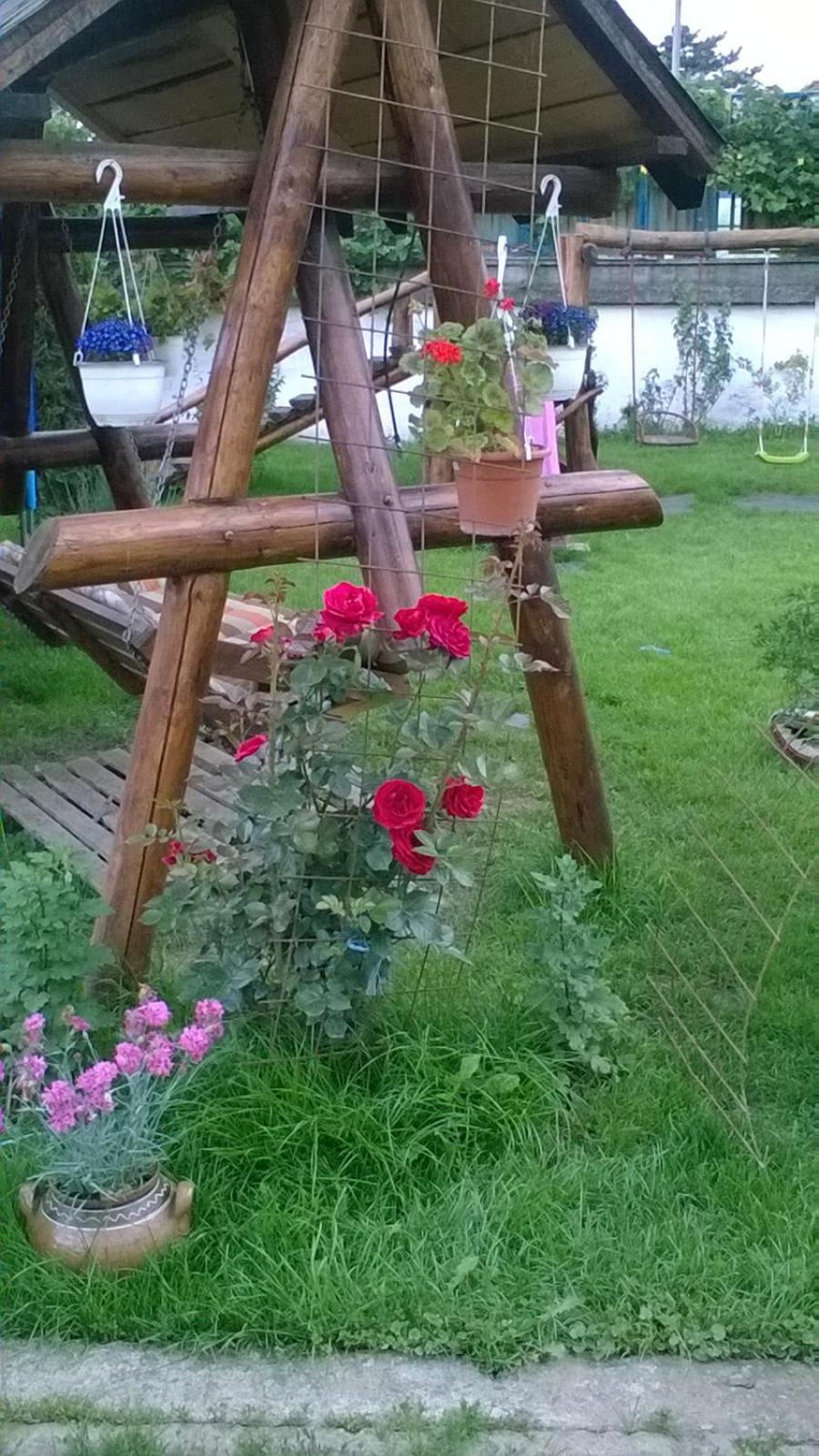 Photo 32