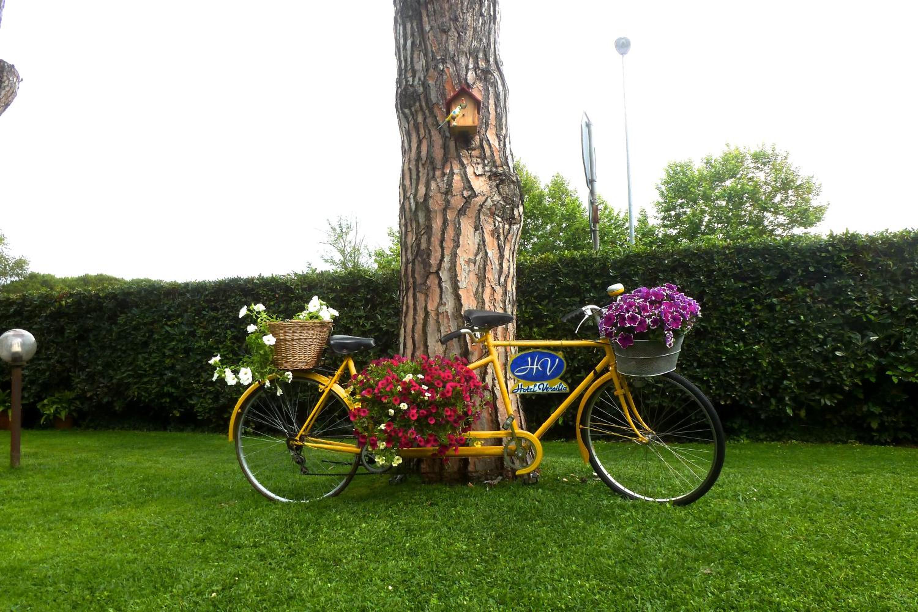 Hotel Versilia