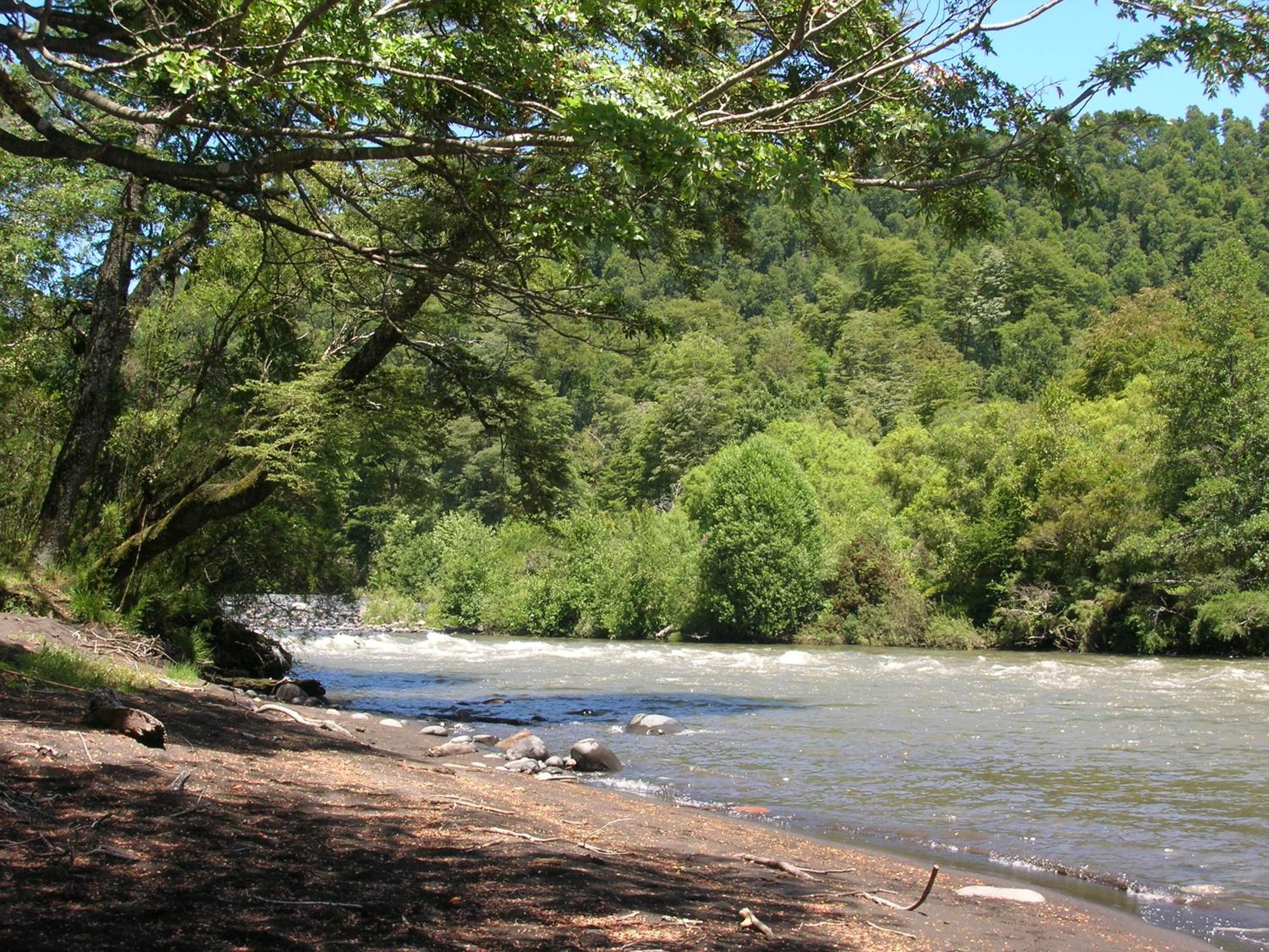 Cabañas Valle del Río