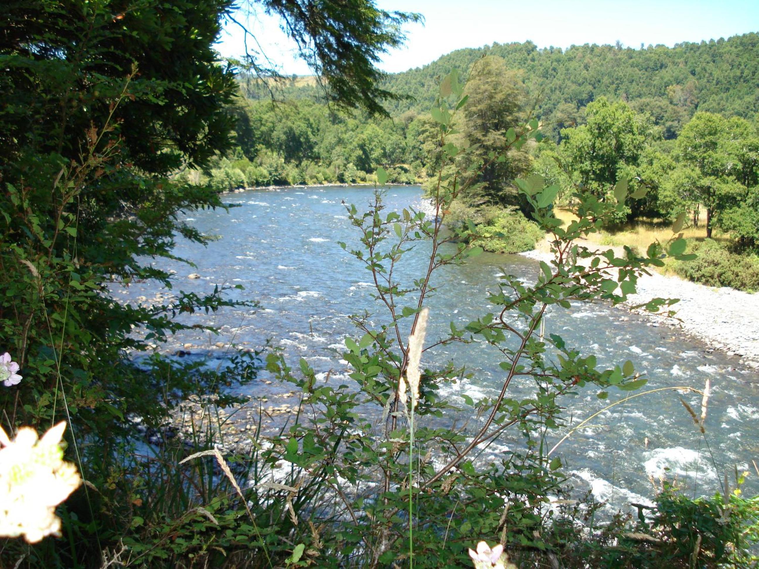 Cabañas Valle del Río
