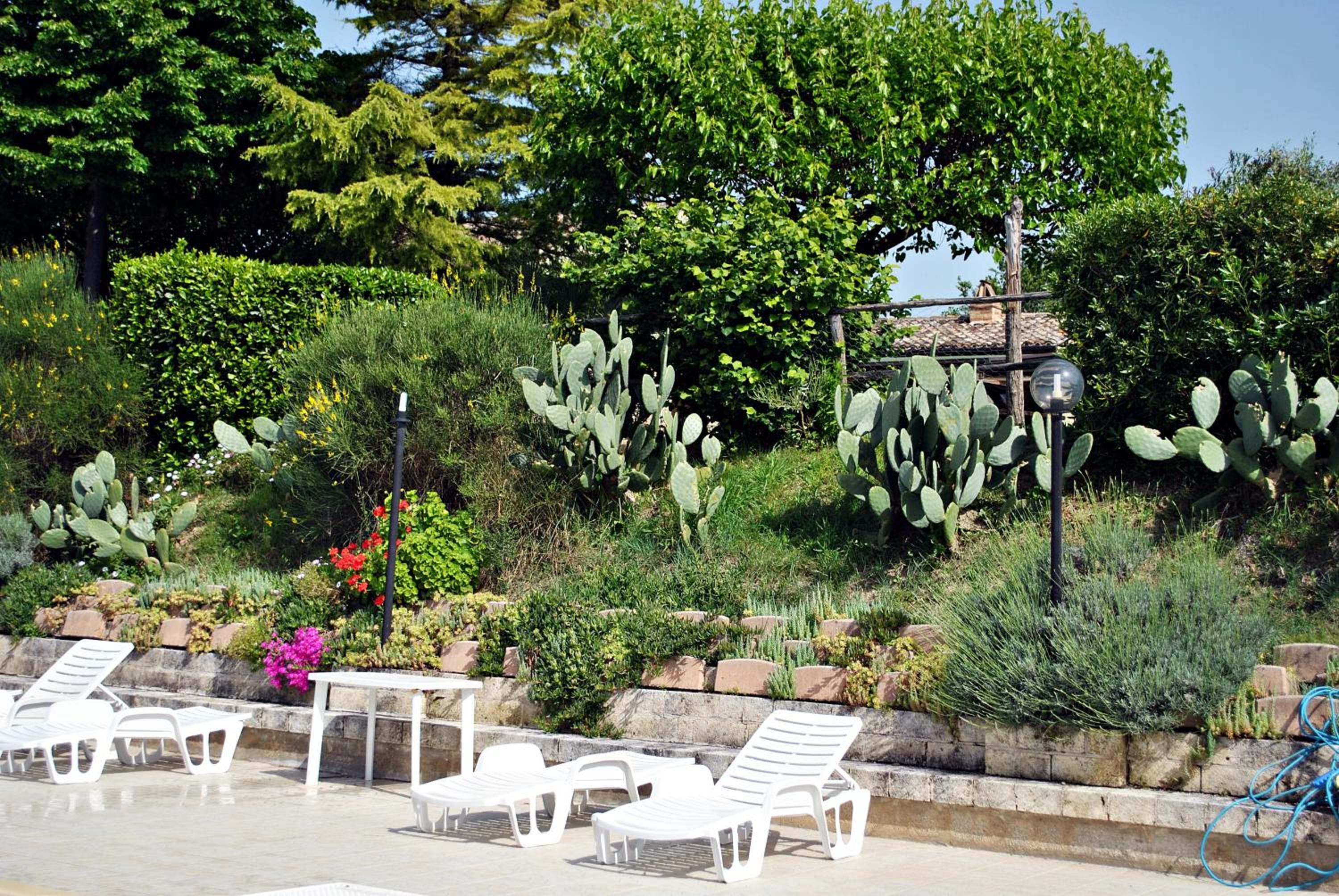 Agriturismo Oasi Belvedere view 5