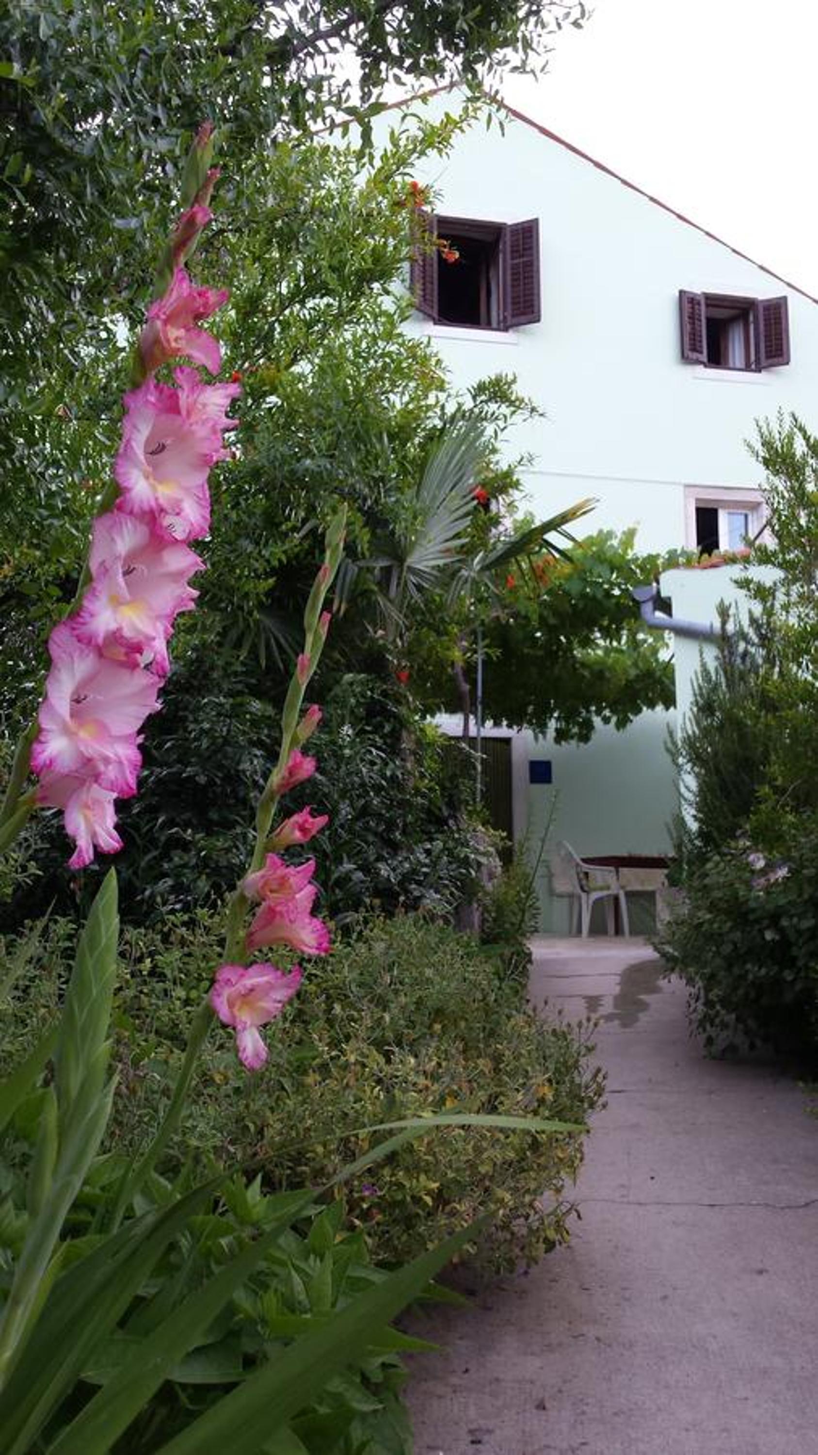 Apartment Mirjana